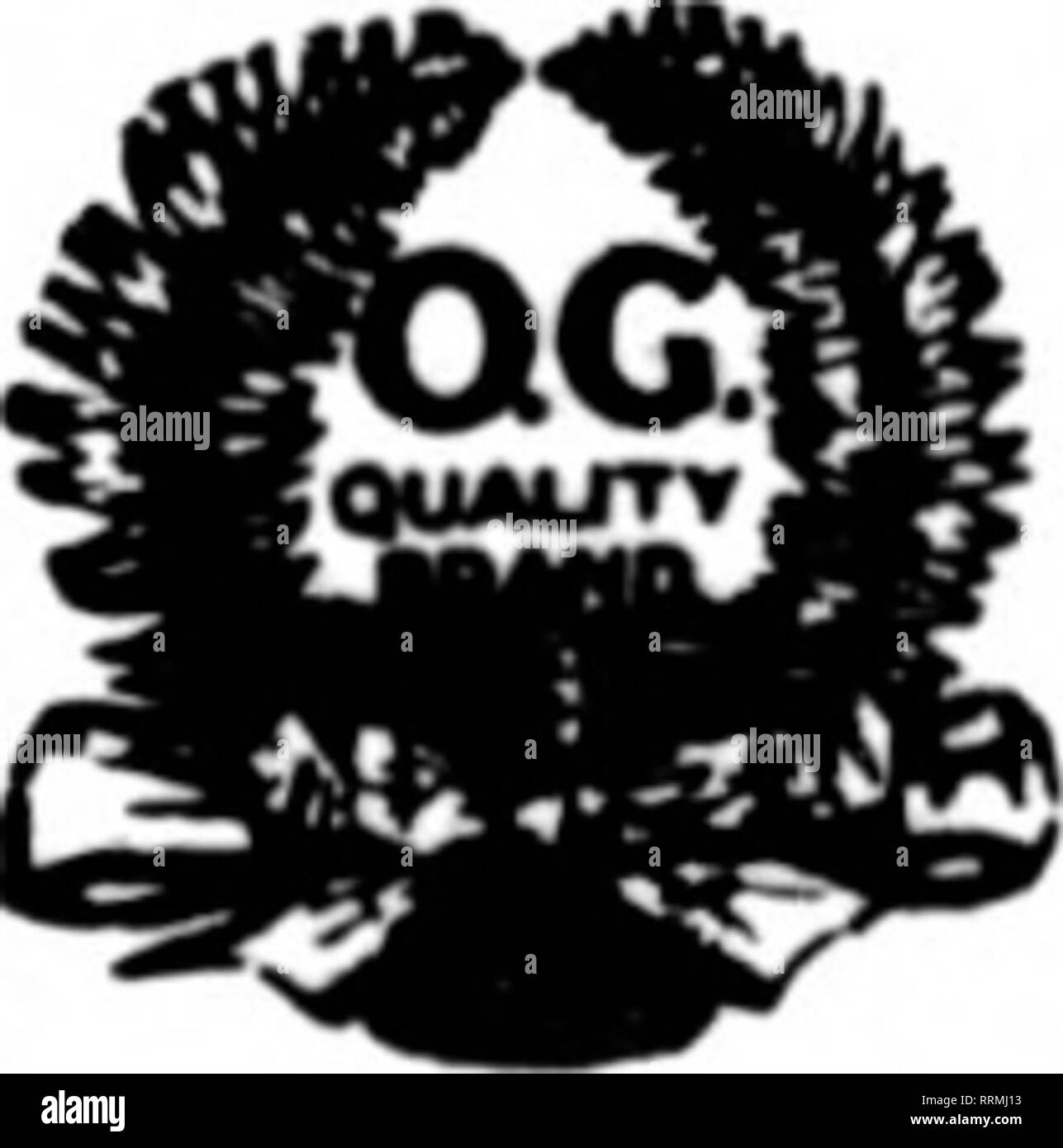 . Les fleuristes [microforme] examen. La floriculture. 2357 N° 30. Clématites en soie. 'Fleur 2^3 pouces de diamètre. Les couleurs, rouge, violet, jaune, rose. Le prix, $4.S0 par gross. N° 184. THISTLE. Groupe de quatre chardons naturels avec du tissu foliaire. Le chardon, 2 pouces de long, 1 pouces de diamètre.^ Couleurs, rose, blueoryello&lt;c. Prica, $3.50 par douzaine de grappes. No 54. FORGET-me-not. Noël lumineux en rouge seulement. 1.' grappes de fleurs à la botte. Le prix, $4.50 par doz. grappes. No 148.:Poinsettia Miniature. Petit velvet Poinsettia.'ii^ pouces de diamètre, centre jaune. .Lust la chose pour des couronnes ou bask Banque D'Images