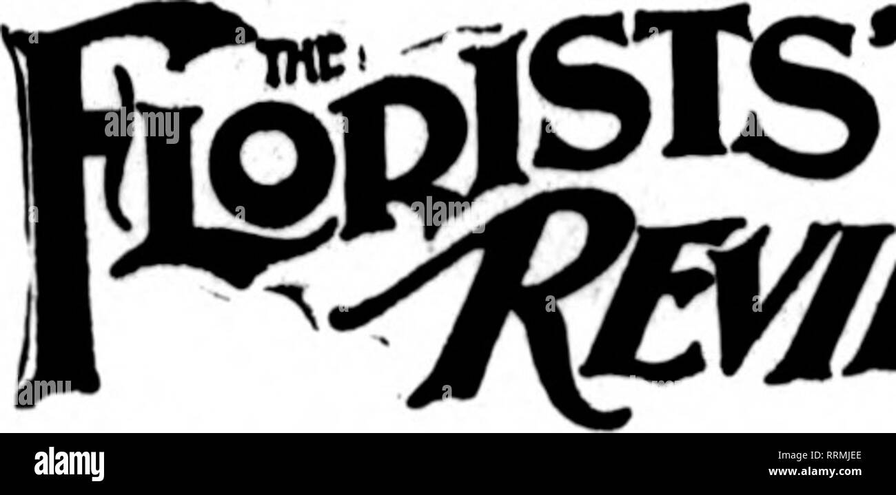 . Les fleuristes [microforme] examen. La floriculture. Les fleuristes^ Review 19 juillet 1917, à l'ndex. Adverlisenienlsj A. Acme Co Floral 05 Co avance 96 Albert &AMP ; Davidson. 76 Alfred Lozier 47 llosery Allen, J. K Alpha 61 Flo. Co 44-48-60 Tuyau Altoona &AMP ; Approvisionnements 76 Alvin Cape Jessa Co- 25 Ampoule américain Co.. 52 gr'nbouse américains malades Co Mfg Co Verre Fenêtre américaine 79 Amling Co 21 Anderson, S. A.... 40 Angermueller Apliine 32 H. U., MFG CO 81 Arcade boutique de fleurs. 44 Floral Archias Co.. 44 SEMENCES Archias Store. 55 Arnold. A. UN Art 33 Co 46 Ascbmann Floral, G 69 Asclimann Bros. ... 71 Ashborne Banque D'Images