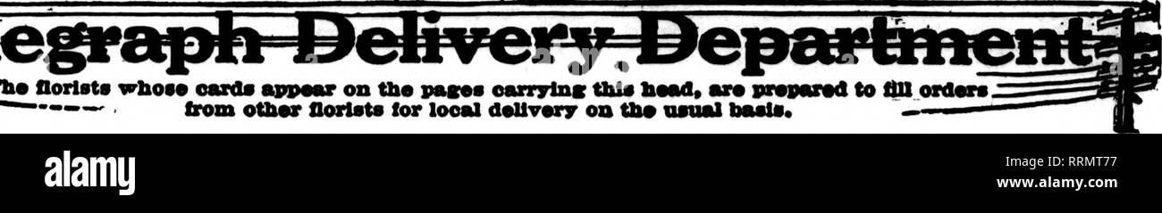 . Les fleuristes [microforme] examen. La floriculture. ni* norlst oaxil* whof** "pp""r sur l'épreuve eanrylnc ce ]i"ad, ar* pvsparad à remplir les commandes. -"&Gt ;' dans otbor doUvory looal pour fleuristes sur tli" d'habitude.. Envoyez vos commandes à Chicago.. William J. Smyth fleuristes* Membre de l'Association Prestation Télégraphe Michigan Avenue au 31e Street &gt ; le tINKXCKLLED WIENHOEBER INSTALLATIONS DE L'E. CO. 22 E. ELM ST., CHICAGO ?re pour BTallable fllllngr le commerce de toutes les commandes. Les États F. D. T. POUR TOUS LES ORDRES DE CHICAGO UTILISATION ffere. UtM. liuur pronpt .livraison. comme^&amp ;. Veuillez noter que ces images sont extraits f Banque D'Images