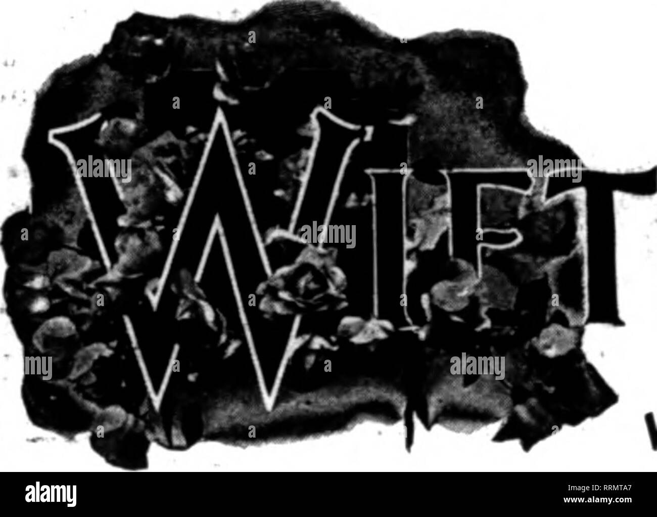 . Les fleuristes [microforme] examen. La floriculture. 182 N. Wabash Avenue ro"'- .ti C-KiC £i".g O L D. Phone Randolph 631 Russell, Ophelia, glaïeuls, les asters et les Verts AU PLUS BAS TAUX DU MARCHÉ East Jackson Boulevard, entre la State Street et Wabash avenue, pour une période d'années à un montant total de 20 000 $. Après enjo5'ing une automobile voyage à travers la région des lacs du Wisconsin, John Steinmetz est à nouveau occupé dans son magasin au 1643 North Halsted street. Joseph Kohout a eu ses mains plutôt pleins cet été avec sa propre gamme de rose à Libertyville et la gestion de la fleur Meredith &AMP ; Vegetable Co Banque D'Images