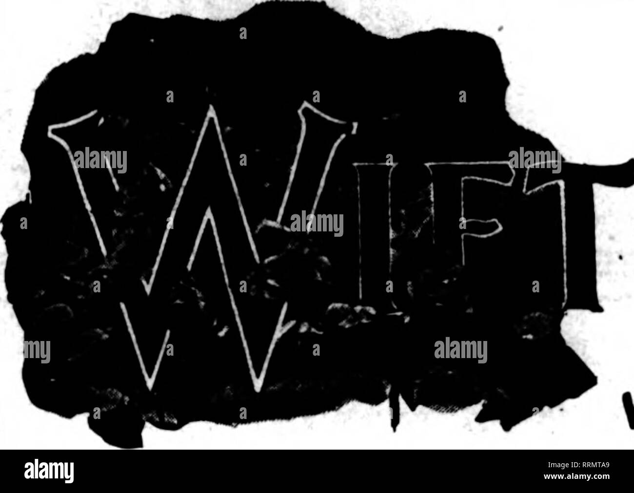 . Les fleuristes [microforme] examen. La floriculture. Pour Aarents À-BAK-IN£ Pompons Ivy mexicain Asperges ^^^ J Sprengeri fV mamans et les roses I &AMP ; ? Mentionner l'examen quand yon écrire. Cartes de noël de houx et de poinsettia en acier embossé dans die dessins rouge et verte, sur lin fin bristol. 100 S0.60 800 1,00 8,00 3,50 500 1000 conditions : paiement des services postpayés, withforder. Le John Henry Co. Lansing. MICH. liens sont jusqu'à 5 $ la douzaine. Plaqués Russells fetch 3 $ la douzaine. Ophélie et solarisation sont en bon la demande, tout comme les choix de Killarney. •Cette semaine va voir une avance en prix sur toutes les classes. Les œillets sont prochains alo Banque D'Images