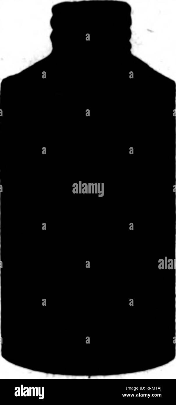 . Les fleuristes [microforme] examen. La floriculture.  ?Jh" NOVEMBtB ?( 30, 1916. Les fleuristes^ 31 pRNE UN KLINGEL ENSEMBLE8Ai-E LES FLEURISTES 30 E. Randolph St. L D. Téléphone Randolph 6578 Auto. 41-716 CHICAGO Beauties Cécile Brunner vallée des roses roses Violettes Chrysanthèmes Lilies Adiantum Smilax Fougères Galax. Pour Aarents À-BAK-IN£ Pompons Ivy mexicain Asperges ^^^ J Sprengeri fV mamans et les roses I &AMP ; ? Mentionner l'examen quand yon écrire. Cartes de noël de houx et de poinsettia en acier embossé dans die dessins rouge et verte, sur lin fin bristol. 100 S0.60 800 1,00 8,00 3,50 500 1000 Conditions : des services, cas Banque D'Images