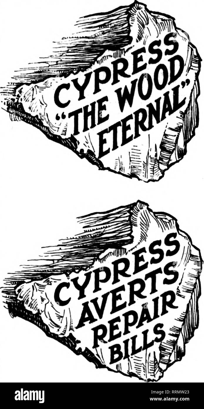 . Les fleuristes [microforme] examen. La floriculture. 120^ FBBnuAuv les fleuristes d'examen 15, 1917.. un LE BOIS QUE TOUS SES UTILISATEURS PRIX, LES SAGES DANS- VESTOR SAFE- LY ACHÈTE." MAINTENANT POUR UN LIVRE GRATUIT à partir de la célèbre bibliothèque de poche presse- Cy-42 vol., (le livre est à effet de volume 3). Tome 1 a une liste complète des autres volumes et l'unabridged U. S. Gov't. Re- port sur "le bois est éternel." Avez-vous eu ? Le sud de l'MANUFJICTURERS CYPRESS' Association. Veuillez noter que ces images sont extraites de la page numérisée des images qui peuvent avoir été retouchées numériquement pour plus de lisibilité - co Banque D'Images