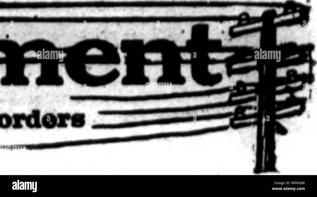 . Les fleuristes [microforme] examen. La floriculture. Le Horists JANUABY' Review 6, 1916. E" norlst* dont la carte* "ppMur oarrylnB sur l'épreuve cette tête* sont prêts à jusqu'à l'ordre "'- d'autres fleuristes pour dellverr locaux sur la base d'habitude.. MISSOURI STATE FLORAL rAIR CO., Sedafia, Mo., couvre l'état comme une pluie Bruine. 9 entrlM au State Fair, 1914. et bine neuf. ribbona Oolncr eome. eli7", juste notre démarche commune. Yean deux vieux. 40,000 ft. Assurance contre la grêle. ORDCRS POUR St Louis, n° YOUNB'8. 1406 RUE ST OLIVE. LOUIS, MO. Sur le fil de téléphone ou d'ordres à la HOU8K8 DE PXOWKR Ostert Banque D'Images