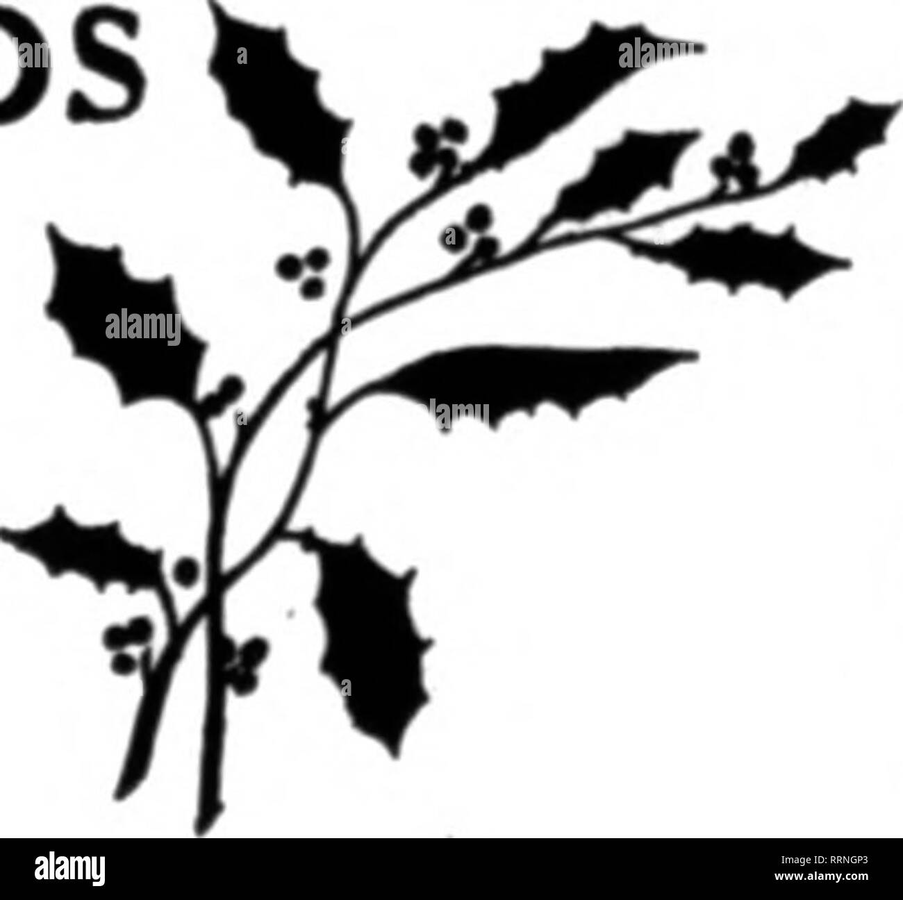 . Les fleuristes [microforme] examen. La floriculture. Cartes de noël de houx et de Poinsettia conçoit, taille 2 x 3^4 pouces. Mourir en acier estampé en rouge et vert sur lin fin bristol. rRICES pour 200 500 $ 1,00 2,25 4,00 1000 tor tor POUR ÉCRIRE L'ÉCHANTILLON John Henry Company, Lansing, Michigan mentionner le RCTlew quand vous écrivez. troisième anniversaire anniversaire. Il a passé sa vie dans le parc Eogers growers' district, où ses parents es-. Conditions : Paiement sur commande, des services postpayés. De NOTRE ANNONCE DE NOËL tablished leur maison quand ils venaient de Luxembourg. Un beau nouveau Locomobile limou-. Veuillez noter que l'e Banque D'Images