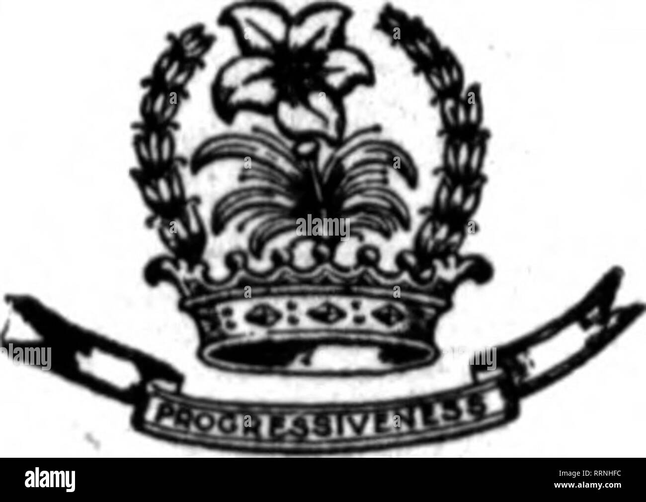 . Les fleuristes [microforme] examen. La floriculture. Tout rirst-Ciaso 14e et H Rues. cude biios.c0. Les fleuristes 1214 r 9T.NW YV^kSHINGTON WASHINGTONp DC D. C. Les membres de l'Viorlats GUDE" Telegrraph CLEVELAND, Ohio Livraison BRAMI^EY &AMP ; FILS Magasin et Oreenhousefl, 1181 East llet Street l'est le fleuriste Leadine Jardins pelouse urbaine d'un champagne, Ca., OHIO W. p. MoFaklakd MoFabland L. C. COUVRIR MX MM pompons McFARLANDS, fleuristes AKRON. Lié au coin de l'Ohio, New York, après quoi le jeune couple ont passé leur lune de miel en voyant certains des sites touristiques de Gotham et plus tard le comté hUls. Le jeune Banque D'Images