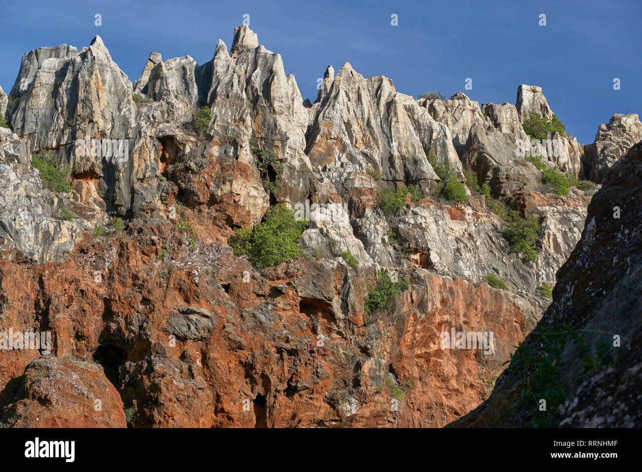 Cerro del Hierro, Parc Naturel. La Sierra Norte de Séville. Andalousie, Espagne Banque D'Images