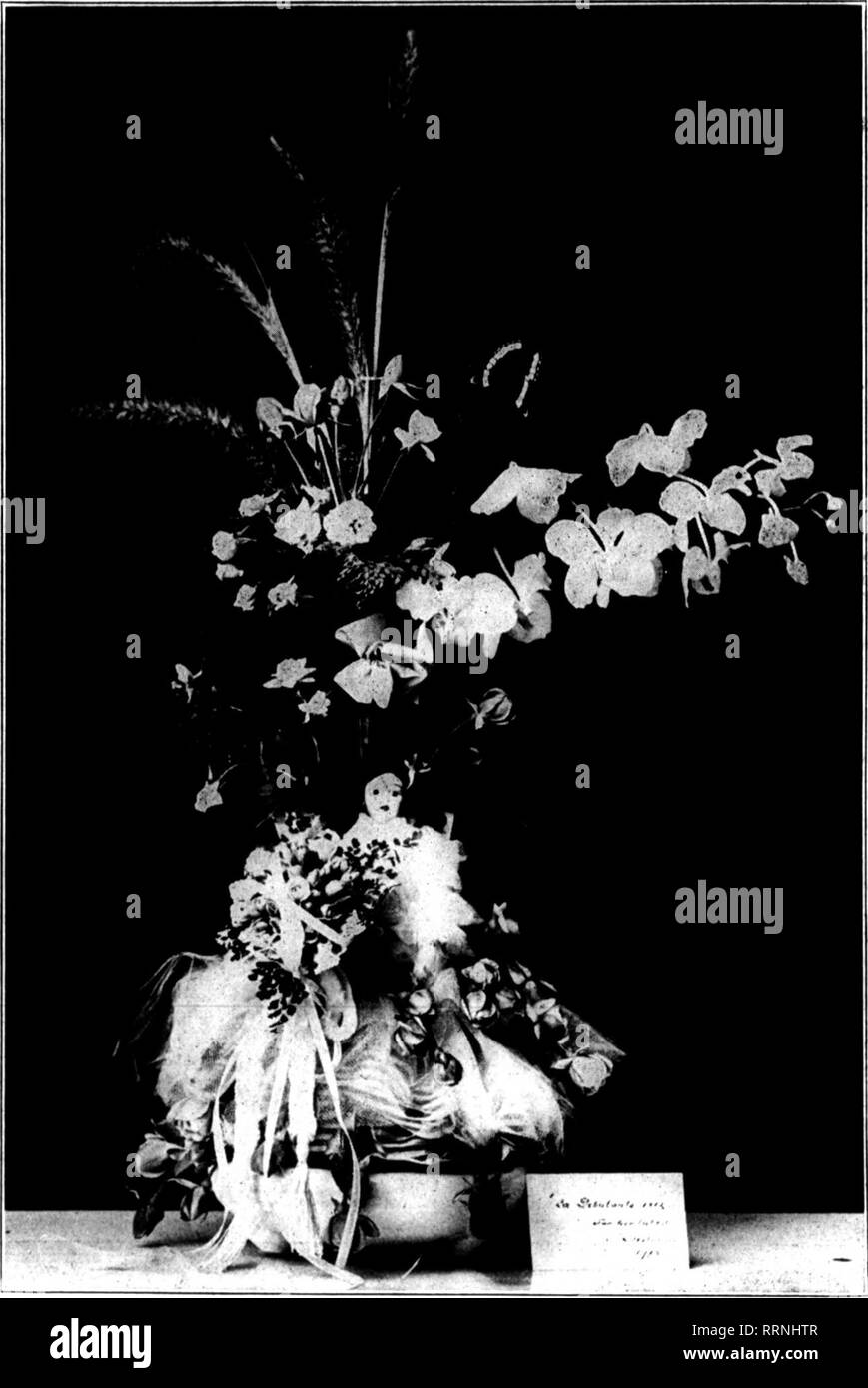 . Les fleuristes [microforme] examen. La floriculture. OCTOBEB 21, 1015. Les fleuristes^ Révision 13 LE BARS ABE VERS LE BAS. Azalea sans restriction des importations. Le ministre belge à Washington répond comme suit en date du 14 octobre : "Le règlement (par le gouvernement britannique, concernant l'expédition des marchandises d'origine belge par Kotterdam) ont été assouplies dans le cas de Bel- gian de pépinière, qui est maintenant exporté librement aux États-Unis, dans le cadre d'une entente avec le syndicat de l'horticulture belge, que toutes les con- signatures ont pour instruction de payer l'achat de l'argent en temps utile à la Banque Banque D'Images