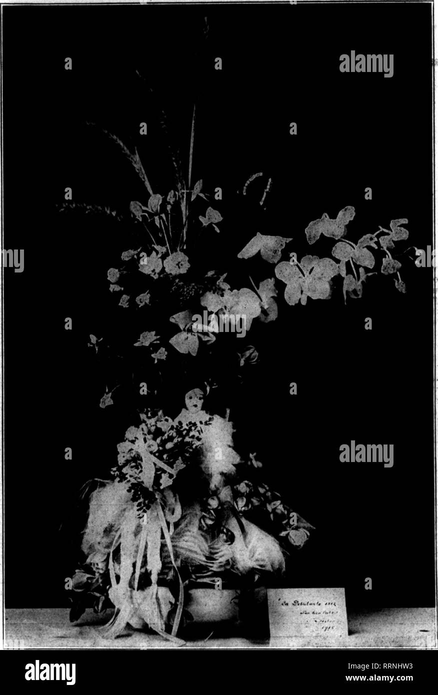 . Les fleuristes [microforme] examen. La floriculture. "'''L* ! !P !(7ff''™f™-" OCTOBEB 21, 1915. Les fleuristes^ Révision 13 Le BABS ABE VERS LE BAS. Azalea sans restriction des importations. Le ministre belge à "Washington répond comme suit en date du 14 octobre : "Le règlement (par le gouvernement britannique, concernant l'expédition des marchandises d'origine belge par Eotterdam) ont été assouplies dans le cas de Bel- gian de pépinière, qui est maintenant exporté librement aux États-Unis, dans le cadre d'une entente avec le syndicat de l'horticulture belge, que toutes les con- signatures est demandé de payer le pur- c Banque D'Images