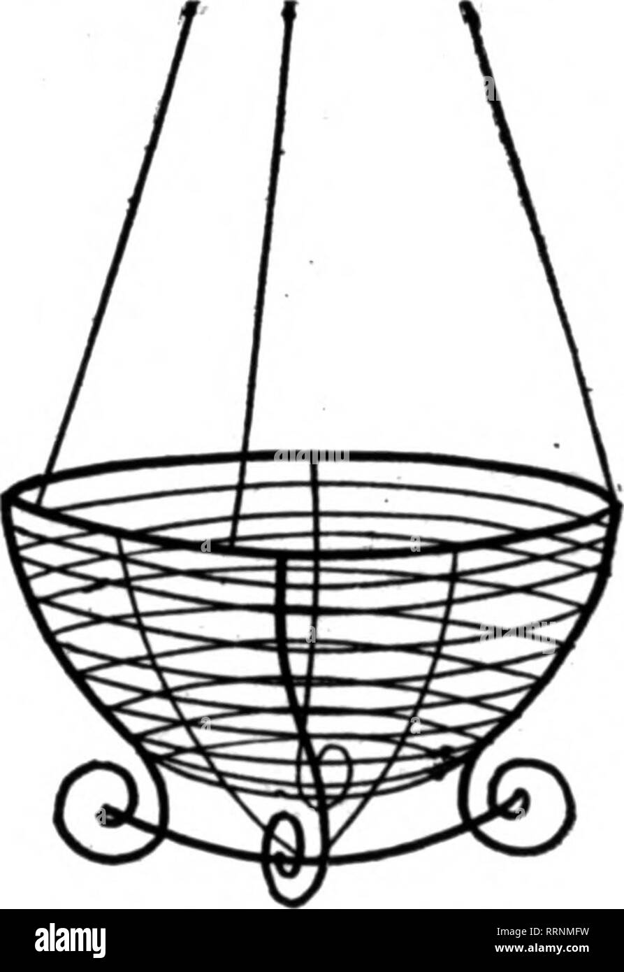 . Les fleuristes [microforme] examen. La floriculture. 10-inch par douz.. 100,1 8,00 11,25 ; par 12 pouces par doz., 1,50 ; p. 100. 10.00 U-pouce par douz.. 2,00 ; p. 100. 13,50 25 à 100 élevés. D'autres dimensions sur demande. Tous les conducteurs de travaux accomplis dans ma propre usine. Pour envoyer un catalogue. Feuille vert mousse, l bundle, tl.OO : 5 bun- dles, 4,75 $ ; 10 900 $, les faisceaux. Toutes les fleurs de saison. L'Asparagus plumosus Ohmer. Oreenhoattes splendide à vendre en Ohio ville de 36 000 ; si vous êtes intéressé, écrivez à la désignation. E. G. GILLETT 181 X. Third St., Cincinnati (Ohio), mentionner le ReTlew quand yon brefs. jusqu'M. Levis dans leurs déclarations. Lu Banque D'Images