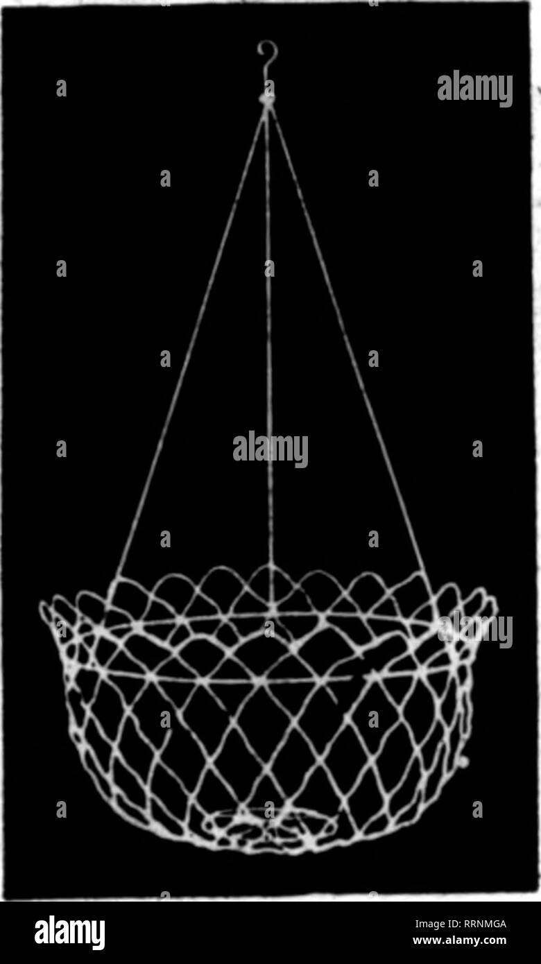 . Les fleuristes [microforme] examen. La floriculture. Paniers suspendus faite de 1^4 galvanisé maille fil serti. Aucune amende- lier sur le fil à la pourriture. L'herbe peinte 10 % de rabais sur les commandes de 5 $ par douz. 10 pouces, 6^ pouces de profondeur 1,50 $ 12 pouces, 7^ pouces de profondeur 1,86 14 pouces, 8^2 pouces de profondeur 2,40 16 pouces. 9 pouces de profondeur 3,25 Feuille Vert Mousse, 2,00 $ par sac, FALLS CITY WIRE WORKS 451 3d Street, Louisville, KY. Mentionner le Rerlew quand yon écrire. ^ Budlong E la vallée du ruban bleu La Mention Rerlew quand yon écrire. SPHAGNUN N0SS.ilP[s$9,00 WM. MURPHY ]2" QNCINNATLO SI principal. Mentionner le Hevlew quand vous écrivez. Banque D'Images