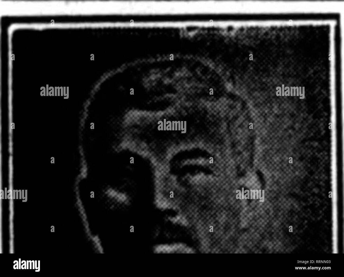 . Les fleuristes [microforme] examen. La floriculture. m Les fleuristes' Review 25 novembre 1915. STOCK SAISONNIER POINSETTIA SIÈGE. 8-lnch ? 4.1Nch 12,00 8,00 p. 100 par 100 ASPIDISTRAS, ARAUCABIAS, DRACAE- NAS, PANDANU8, KENTIA8, CROTON8 ET PLANTES EN CAOUTCHOUC, fine ; les prix sur ap- plications. ^ »., . CINERARIAS, nain, meilleurs mixte, 2  %, à 3,00 $ par 100. Tableau de fougères, assorties, 3,00 $ par 100 ; fZS.OO pour 1000. CYCLAMEN GIGANTEUM. Type de Wandsbek. En excellent état, prête pour le déplacement, surtout rose, rouge et saumon couleurs de l'amélioration de Wandsbek. . »^ ,"" 2V4 pouces  % 400 100 8 pouces ........ : : 7,00 Banque D'Images