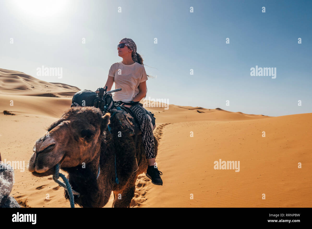 Woman riding camel sous le soleil de désert de sable, Sahara, Maroc Banque D'Images