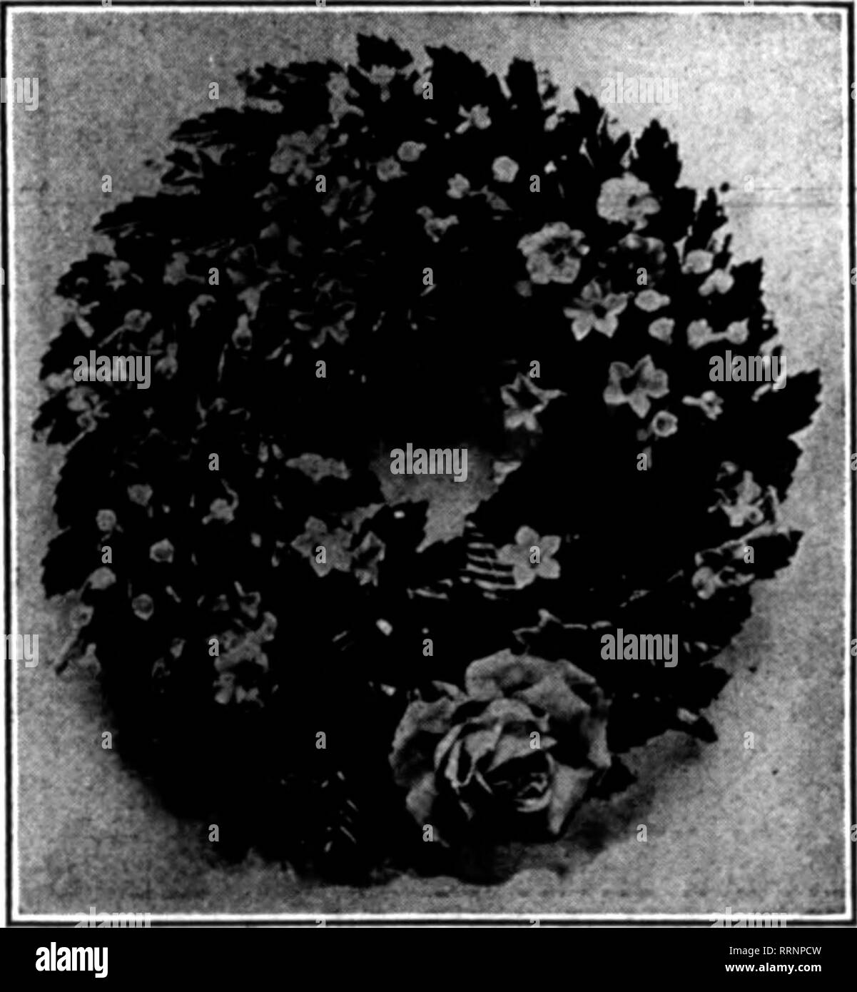 . Les fleuristes [microforme] examen. La floriculture. Les feuilles de magnolia-Qreen, marron, rouge et violet, votre travail : sfoing sur A-1 stock. Pas de moisissure sur nos feuilles. Plus grande crêpe ligne de fleurs dans le pays. Dahlias Roses Mamans Wistarias Orchidées Roses toutes les couleurs fournies-Rose, Blanc, Jaune, lavande, violet, rose teinte. Obtenez 899 H. Bayersdorfer &AMP ; Co. 1129 Arcli Street Philadelphia, PA. Mentionner le Bevlew quand yoo wtU".. 878 bondée. Ils ont une série de lourds travaux funéraires et ont quelques bonnes décorations de mariage réservé pour cette semaine. Mme McKinley est revenu pour les aider à traverser la ruée vers Pâques. Banque D'Images