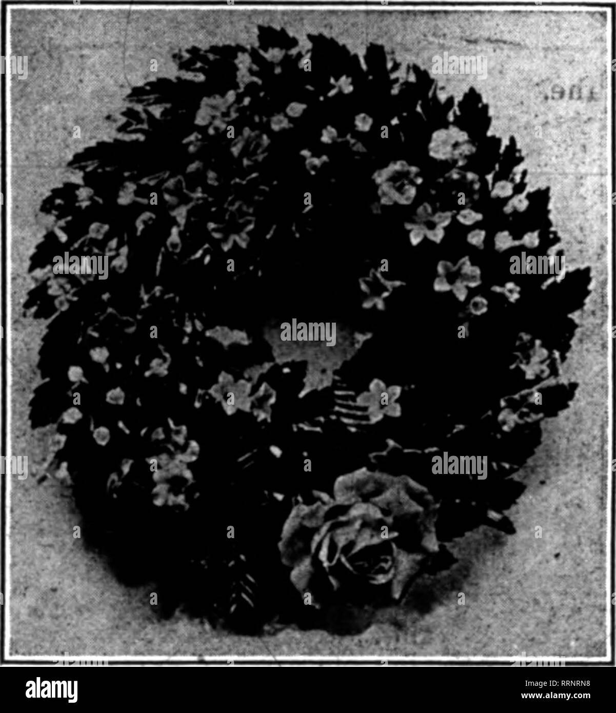 . Les fleuristes [microforme] examen. La floriculture. Les feuilles de magnolia-Qreen, Browo, rouge et violet, votre travail en cours : sur A-1 stock. Pas de moisissure sur nos feuilles. Plus grande crêpe ligne de fleurs dans le pays. / Roses Roses Orchidées Carnalions Wistarias Mamans toutes les couleurs fournies-Rose, Blanc, Jaune, Rose teinte. Qet 899 H. Bayersdorfer &AMP ; Co. 1129 Arch Street Philadelphia, PA. MenMon Le Reylew quand yon écrire.. 378 ble dans ce pays aujourd'hui. Le résultat est quelques superbes actions. L'endroit est familière aux lecteurs de la revue, pour qui il a été décrites dans le passé. Les ajouts depuis la dernière description sont Banque D'Images