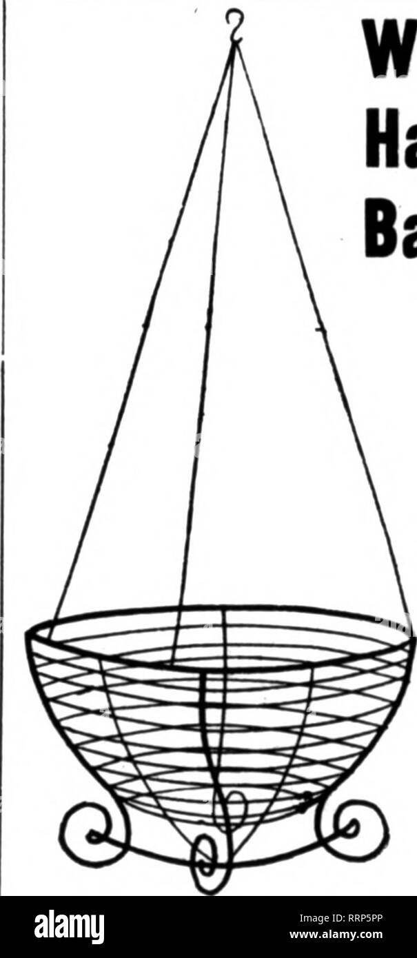 . Les fleuristes [microforme] examen. La floriculture. 10 pouce par douz.. 1,25 $ ; par 100,1 8,00 12-inch par doz., 1,50 ; p. 100, 10,00 14-inch par doz., 2,00, 13,50 : pour 100 à 100 25 taux. D'autres dimensions sur demande. Tous les conducteurs de travaux accomplis dans ma propre usine. Envoyer pour Catalosue. Feuille vert mousse, 1 bundle. tl.OO : 5 bun- dles, t4,75 ; 10. 9,00 $. Toutes les fleurs de saison. L'Asparagus plumosus Ohmer. GreenhooHes splendide pour 8ale à Ohio ville de 36 000 ; si vous êtes intéressé, écrivez à la désignation. E. G. GILLETT 181 X. Third St., Cincinnati (Ohio), mentionner le Rerlcw quand trop écrire. Tulipes Darwin et le rougissement B Banque D'Images