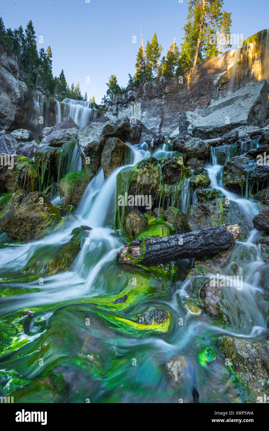 Paulina Creek Falls dans le Monument Volcanique National Newberry au sud de Bend Banque D'Images