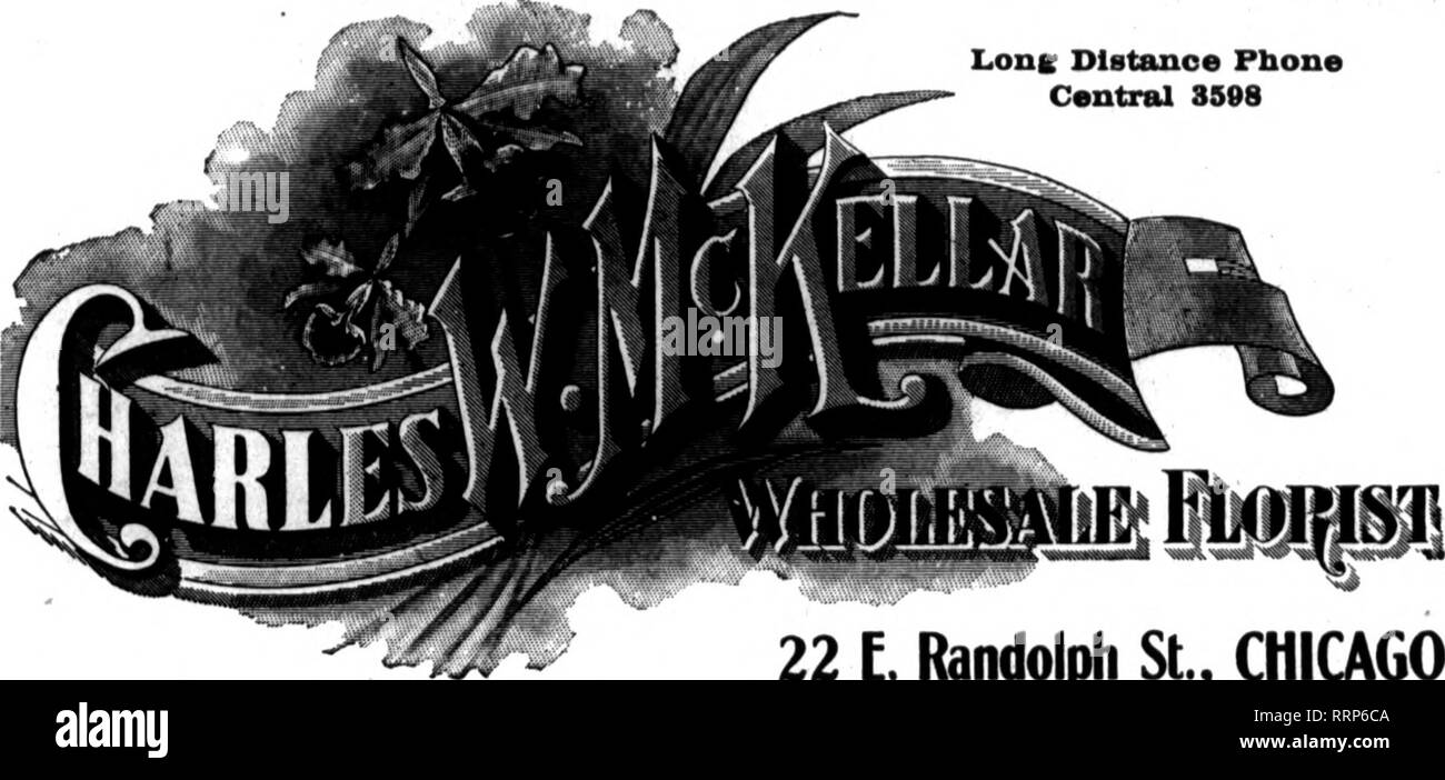 . Les fleuristes [microforme] examen. La floriculture. • ; ;.  ;-" Le 9 décembre 1916. Les fleuristes^ Examen 59 X A S Distance Solitaire 8998 Central Téléphonique. X Une liste de Noël IPrice coupées douz. 110,00 112,00 7,60 2,00 à à à 8,00 à 6,00 à 6,00 à 12,00 3,00 à 6,00 8,00 à à à par 100 .116,00 à . 10,00 à . 6,00 aux orchidées Cattleyas, rosâtre, lavande... Par Percivallana• .' Cyprlpediums » Vanda8, Dendroblum Forraosum » lavande bleuté, blanc. '• Oncldlum^p jaune, T 100 lis. Dendroblum Phaleenopsls » » Gardenias, rose pour douz. Beauté-AAIERICAN » Promotions 80 à 86 en 20 à 24 Banque D'Images