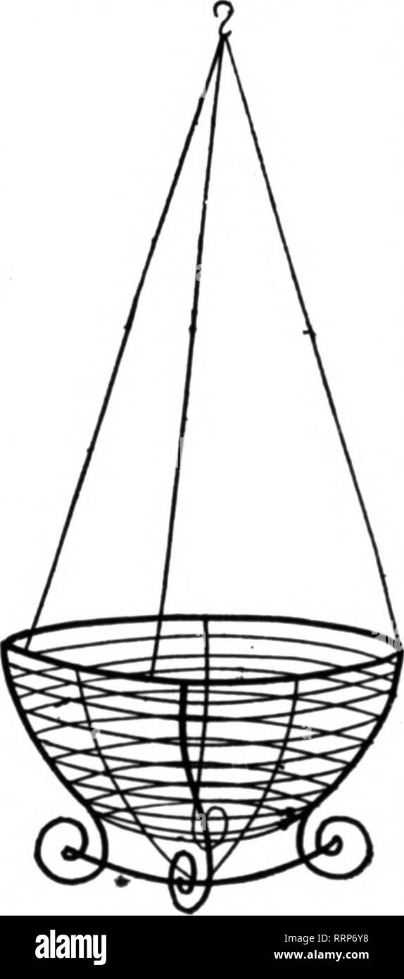 . Les fleuristes [microforme] examen. La floriculture. JO-pouce par douz.. tl.26 ; p. loO. J 8,00 12-lnch par douz.. 1,60 ; par 100. » 10,00 pouces par doz., 2,00 ; p. 100. 13,50 2o "t 100 taux. D'autres dimensions sur demande. •^ , Travail sur le fil de ma propre usine. Envoyer pour Catalocne. Feuille verte Mosa, l ensemble, 11,00 ; 6 bun- ales. 14,75 ; 10. 9,00 $. Toutes les fleurs coupées m saison. L'Aspararus Pluxuoaua Ohmer. ^P^^Oreenhonses ndjd à vendre en Ohio ville de ?6 000 ; en cas d'intérêt, écrire pour parUcolars. E. G. GILLETT 181 X. TROISIÈME St., CIWCIWNATI, Mention de l'OHIO e RbtIcw wrtte* lorsque les placements ypg. a été le rapport de la B Banque D'Images