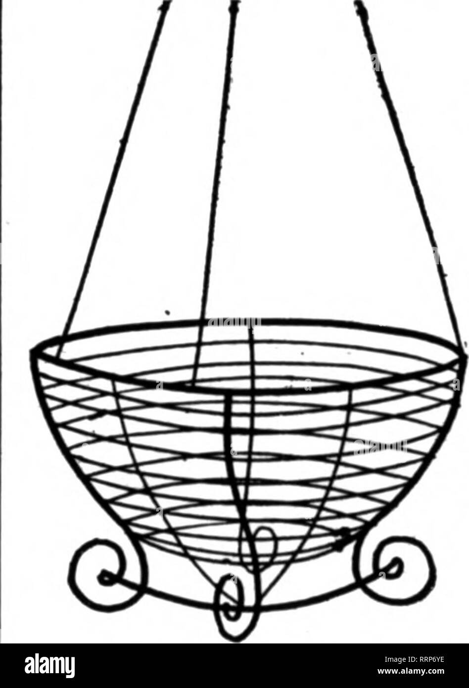 . Les fleuristes [microforme] examen. La floriculture. JO-pouce par douz.. tl.26 ; p. loO. J 8,00 12-lnch par douz.. 1,60 ; par 100. » 10,00 pouces par doz., 2,00 ; p. 100. 13,50 2o "t 100 taux. D'autres dimensions sur demande. •^ , Travail sur le fil de ma propre usine. Envoyer pour Catalocne. Feuille verte Mosa, l ensemble, 11,00 ; 6 bun- ales. 14,75 ; 10. 9,00 $. Toutes les fleurs coupées m saison. L'Aspararus Pluxuoaua Ohmer. ^P^^Oreenhonses ndjd à vendre en Ohio ville de ?6 000 ; en cas d'intérêt, écrire pour parUcolars. E. G. GILLETT 181 X. TROISIÈME St., CIWCIWNATI, Mention de l'OHIO e RbtIcw wrtte* lorsque les placements ypg. a été le rapport de la B Banque D'Images