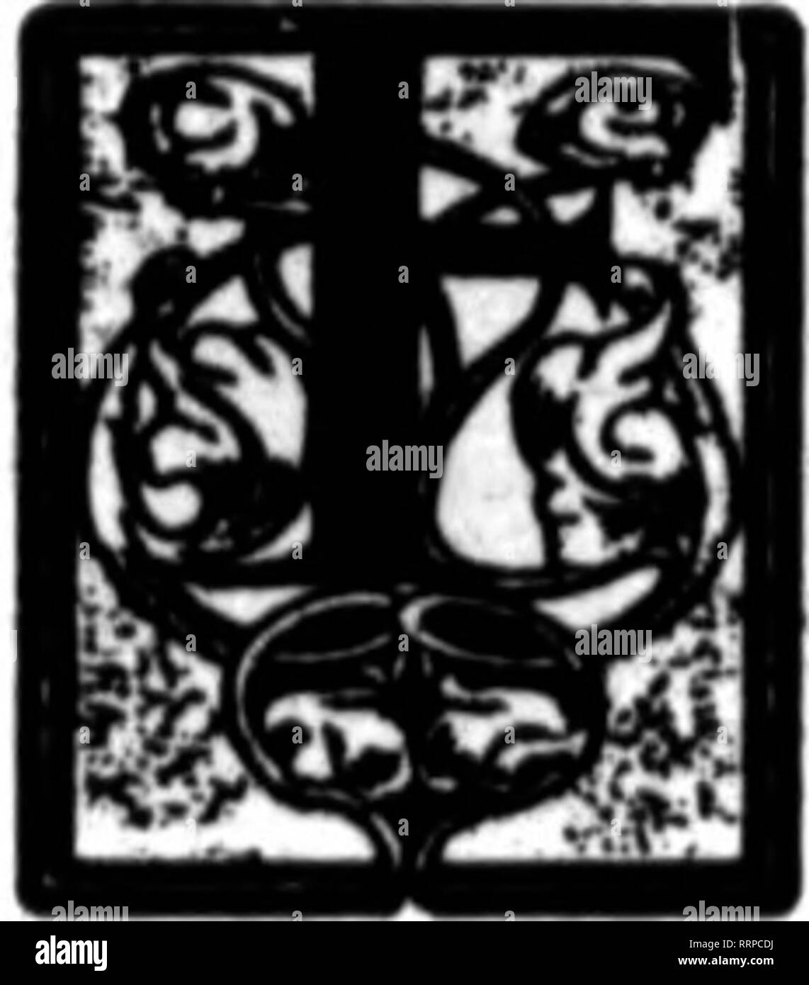 . Les fleuristes [microforme] examen. La floriculture. FiBBDABT 8, 1016. L'examen pour fleuristes 25 Stock Fine pour la Saint-Valentin. lEBRUARY 14 c'est le grand jour de l'année pour les bouquets de fleurs. Nous pouvons fournir le stock-beaucoup de violettes, Spencer les petits pois, Vallée. Commander suffisamment. En outre, la Saint-Valentin est un grand jour pour les boîtes de fleurs de printemps- les jonquilles, Freesia, tulipes, etc. Nous pouvons fournir en quantité. C ARC-EN-^^^ » OpeCial 1 FREESIA ARC-EN-CIEL En plus de fantaisie de pureté blanc Freesia Freesia Arc-en-ciel nous vous proposons plusieurs couleurs claire et belle, que le rose, lavande, bleu, jaune, bronze, etc. Si vous avez essayé ces dernière Banque D'Images