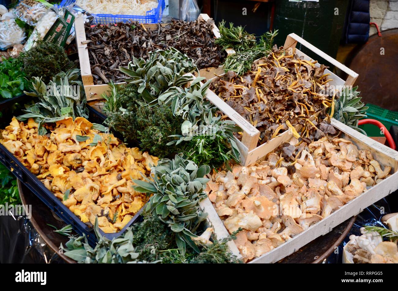 Une exposition de champignons exotiques dans les bacs à Borough Market LONDON UK Banque D'Images