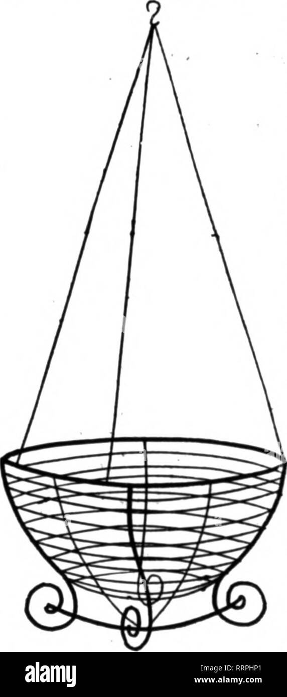. Les fleuristes [microforme] examen. La floriculture. 10 inch .^ perdoz...., tl.25 ; p. 100, t 8,00 12-perdoz liich ....., 1,50 ; p. 100. 1000 14 pouces. perdoz, 2,00, 13,60 : pour 100 à 100 25 taux. D'autres dimensions sur demande. Tous les conducteurs de travaux accomplis dans ma propre usine. Pour envoyer Catalo"nie. Feuille vert mousse, 1 ensemble. $1,00 : 5 bun- dles, 14.76 ; 10 ;), f9 00. Toutes les fleurs de saison. L'Asparasrua Ohmer plumosus. GreenhouHeit splendide à vendre en Ohio ville de 36 000 ; si vous êtes intéressé, écrivez à la désignation. F. G. GILLETT X. Tlilrd ISl St., Cincinnati, Ohio ?mentionner le Rerlew quand yoo écrire. Clemens, récent Banque D'Images