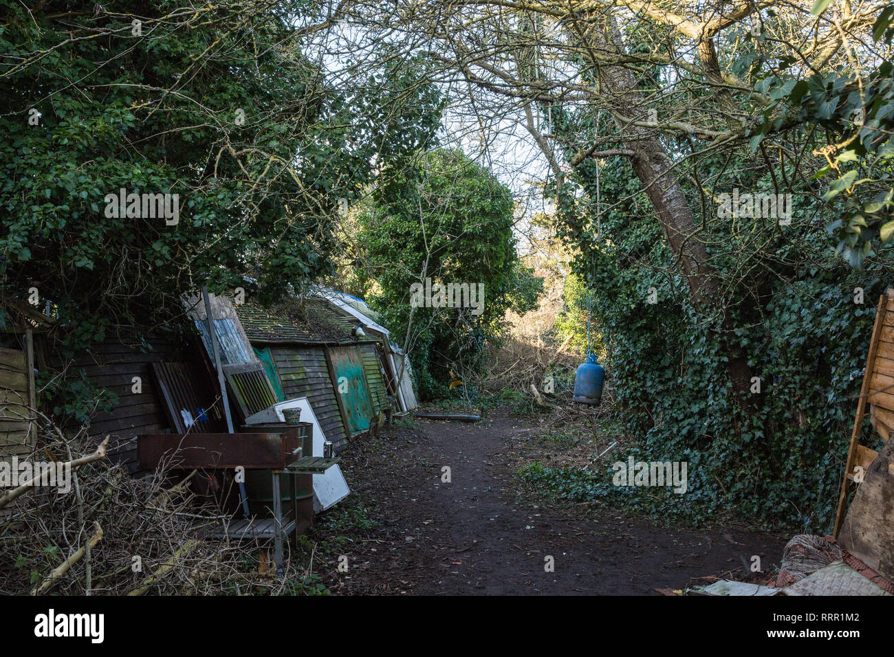 Londres, Royaume-Uni. 26 Février, 2019. Logements à Heathrow, une croissance éco-squatté communauté fondée en 2010 sur un site abandonné près de l'aéroport de Heathrow en protestation contre les plans gouvernementaux d'une troisième piste qui a été aujourd'hui partiellement expulsées par les huissiers. La communauté a développé un vaste jardin et est reconnue pour avoir apporté une contribution éducative et spirituelle à la vie dans le Train des villages qui sont menacés par l'expansion de l'aéroport. Credit : Mark Kerrison/Alamy Live News Banque D'Images