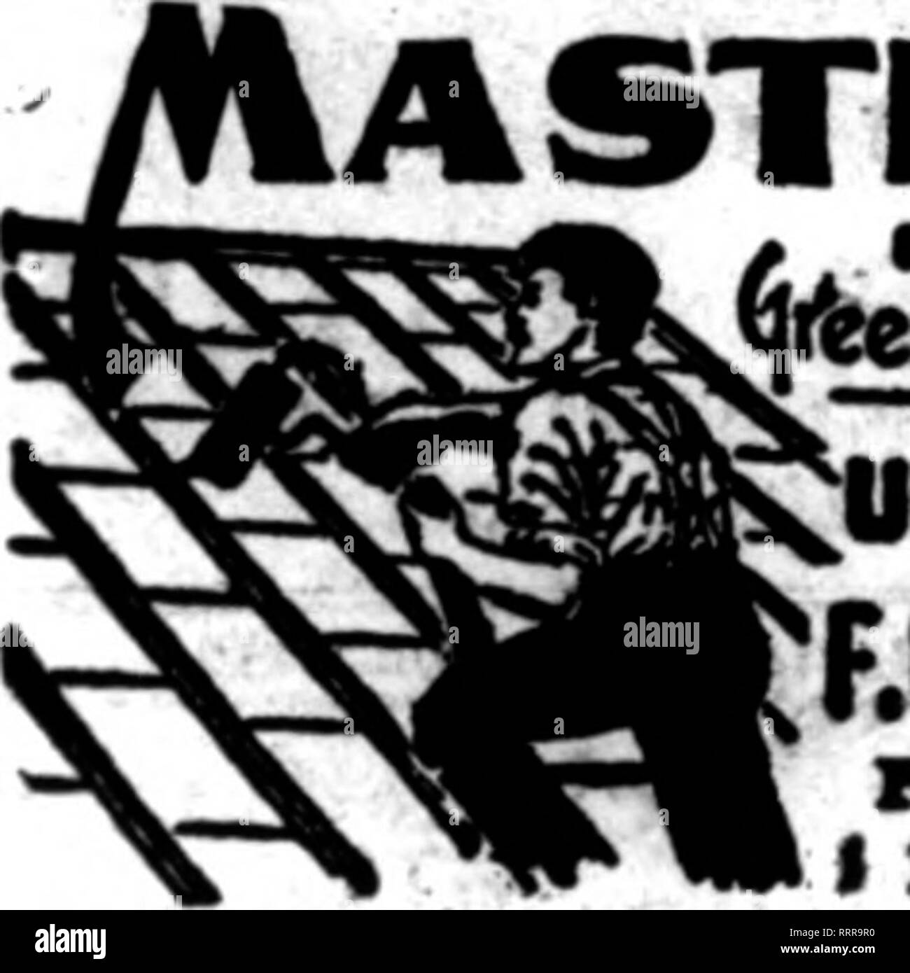 . Les fleuristes [microforme] examen. La floriculture. Wl ONT THI STOCK ET MOHT PMCn Sharp, Partridge &AMP ; Co. de Chicago, ILL. Le HeattMi Berlew wlien joa écrire. Un CIST A.O.PIERCEGIL lEITIiOWll m F. F. O. Fort mEWTOBX Haitlca je tM la tenadona admlli et élastique, d'expansion et de contraction. Pntty devient barde et cassante. Bris de glace plus facilement ? Remored withont la rupture de verre otlier occnrs pntty aa avec disque. ONOKB DURE I.QUE PUTTY. Facile à appliquer. Mentionner le Henew quand yon écrire. "RED DEVIL"-VERRE POUR RREENHOUSE Les hommes ont prouvé la meilleure par l'essai réel. Réalisés dans 40 styles, wi Banque D'Images