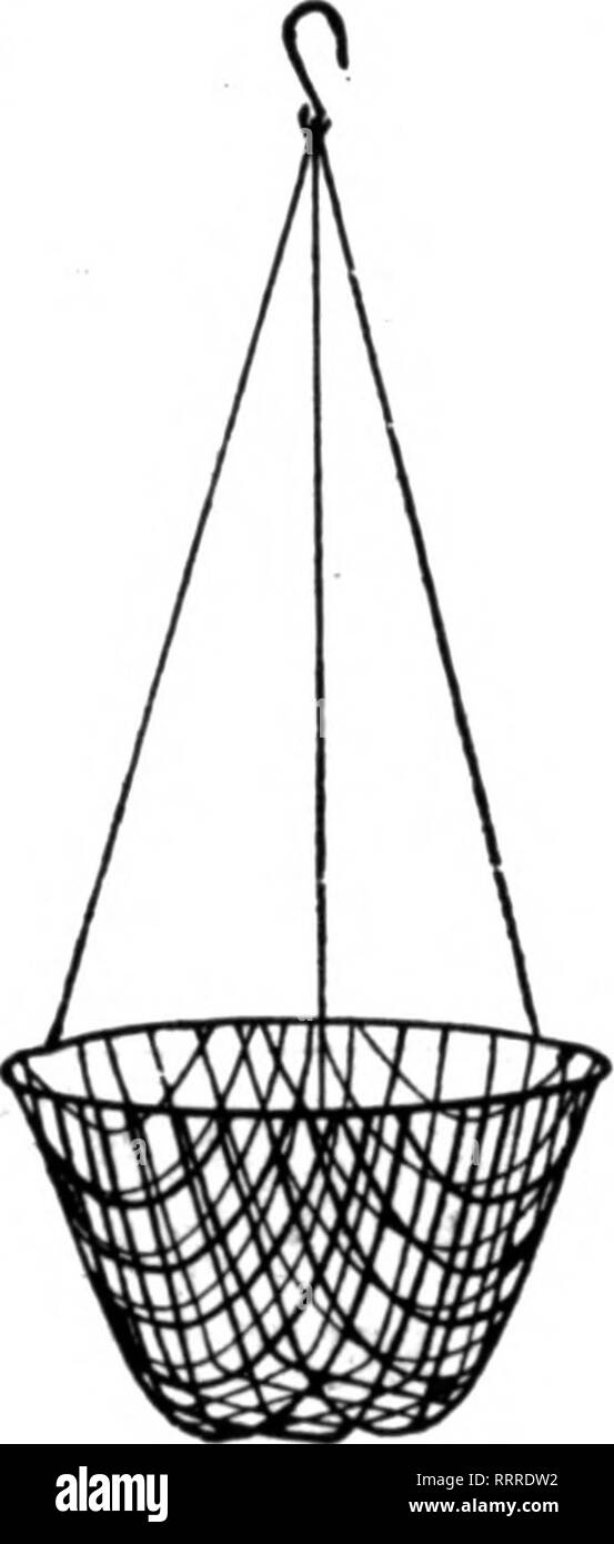 . Les fleuristes [microforme] examen. La floriculture. O.^ D&Lt ;". .M.  ? ?••* Moss est e meilleur vaius r er DSigf «^ p"Ul/" pour tho monoy dans l'markot. MICHIBAN EXCHANflE FLEURS COUPÉES, 264-266 Randolph St., Detroit. Mentionner le Rerlew Mich. quand yon écrire.. Paniers SUSPENDUS EN 1^ ealvanized maille fil serti. Aucune amende- lier sur le fil à la pourriture. Paintad Graan 10 % de rabais sur les commandes de 6 $ par douz. 10 pouces. ^ 6 pouces de profondeur 1,50 $ 12 pouces, 7^ pouces de profondeur 1,85 pouces, 14 pouces de profondeur 2,40 8^ 16 pouces, 9 pouces de profondeur 3,25 Feuille Vert Mousse, 2,00 $ par sac, FALLS CnY WIRE WORKS 451 Sd Straat, Louisville, KY. La mention Banque D'Images