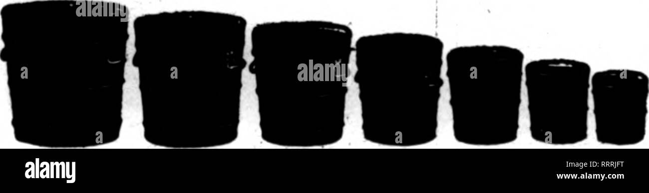 . Les fleuristes [microforme] examen. La floriculture. Banc en fer brevets Raccords et supports de toit VENTILATINQ - Appareils à vaporisation améliorée : casseroles, extraits de tabac etc UmnA CIroiilAra DILLEI tor. GA8KEY &AMP ; KEEN.""^^"" rL.PHILADELraM MeatloB Pll,ft* Bevlew ywi writa. L'RIYERTON DREEft ""spécial'' Plante à remous. N° Diam. Chaque point. • Le lOt 1020.^ •dans n 16,0 P llM.OO ao 18 in. 1,80 14,00 116.0C 80 à 16. 1,00 11,35 92,0 S 40 14 In. 0,66 7,00 56,00 60 12 in. .45 6,00 40,00 60 10 in. .88 400 83,00 70 8. .80 8.60 28M pour exdusiveiy Manafactored ns. L'onglet battre jusqu'à présent. Les plus intéressantes, et lightaat Banque D'Images