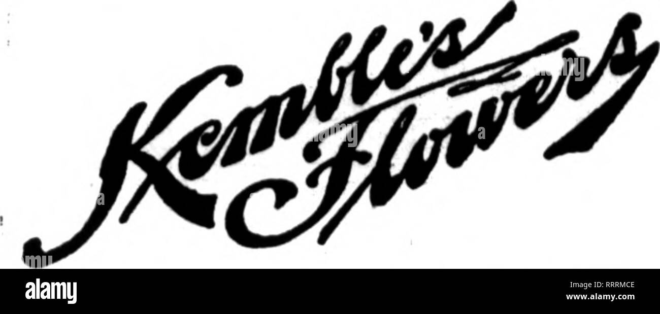 . Les fleuristes [microforme] examen. La floriculture. 52 L'examen pour fleuristes, 26 novembre 1914. Fleuristes au détail de premier plan dont les fleuristes au détail de la fie ou les pages apparaissent les cartes portant ce chef, sont prêts à remplir les commandes des autres fleuristes pour la livraison locale sur la base usaal. Si vous souhaitez être représenté dans cette rubrique, c'est le moment de passer votre commande.. Qr""nhou""s à MARSHALLTOWN, Centreville, OSKALOOSA, MASON CITY, Waterloo, Iowa BOONE, D' ENVOYER POUR ABRITER LE PLUS PROCHE DE LA LIVRAISON. Fleuriste vente en gros et au détail, 1133 C.EFREY est, Lincoln, Neb. IVIII remplir des ordres de l'Ouest sur court-circuit Banque D'Images