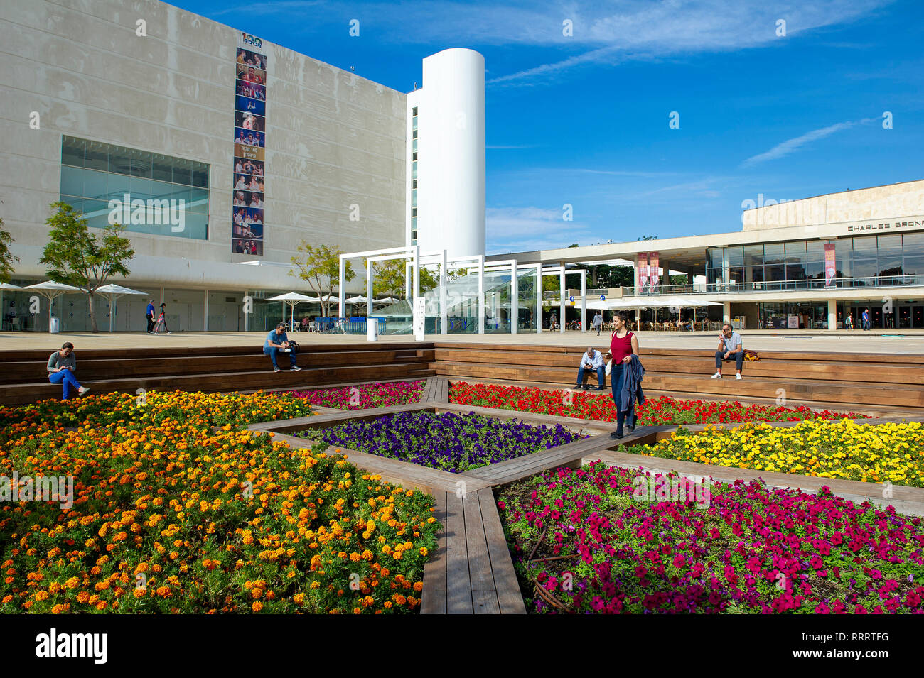 Jardin de fleurs colorées à la place HaBima, Tel Aviv. Dans l'arrière-plan, le théâtre national Habima (à gauche) et Charles Bronfman Auditorium (droite) Banque D'Images