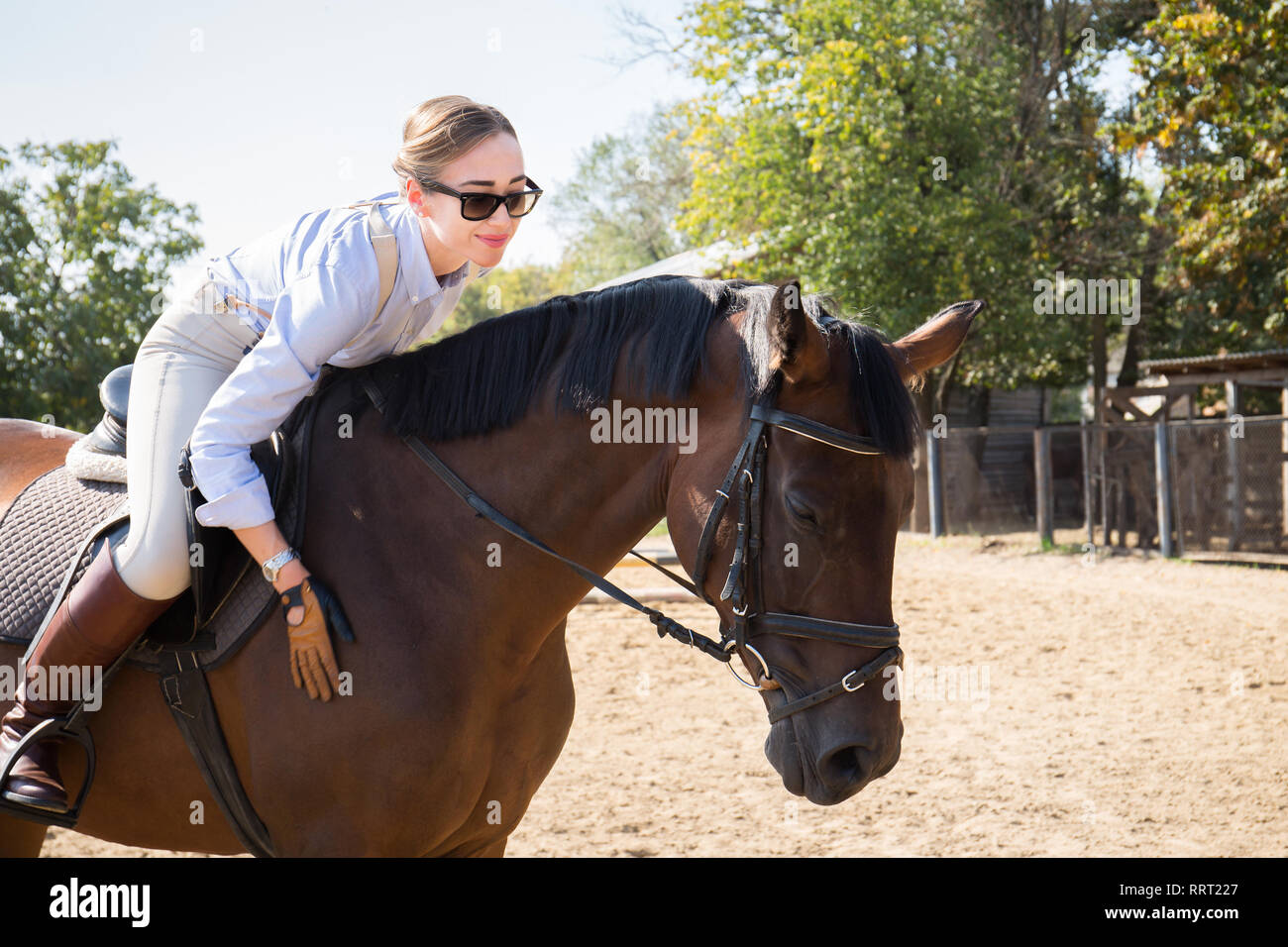 Belle femme cavalière montant un cheval à l'écurie Photo Stock - Alamy