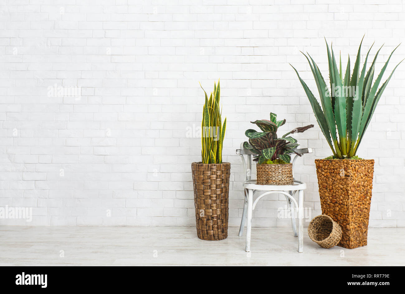 Plantes d'intérieur et la présidence sur mur de brique Banque D'Images