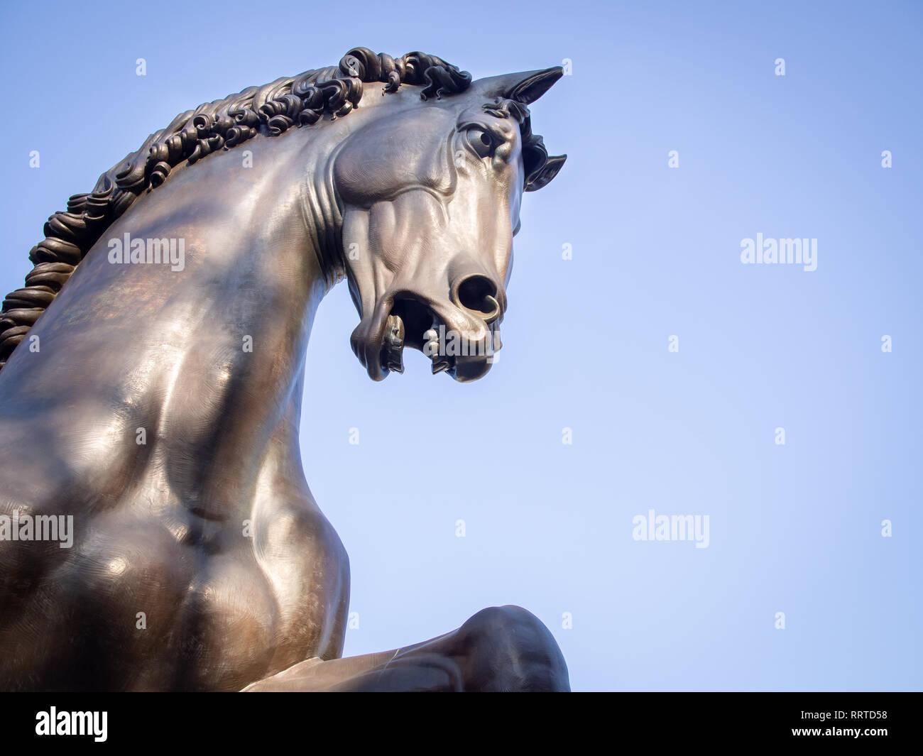 MILAN, ITALIE - 15 février 2019 : le chef de l'Leonardo's Horse (aka Gran Cavallo) la plus grande statue équestre dans le monde par Leonardo da Vinci et Nina UN Banque D'Images