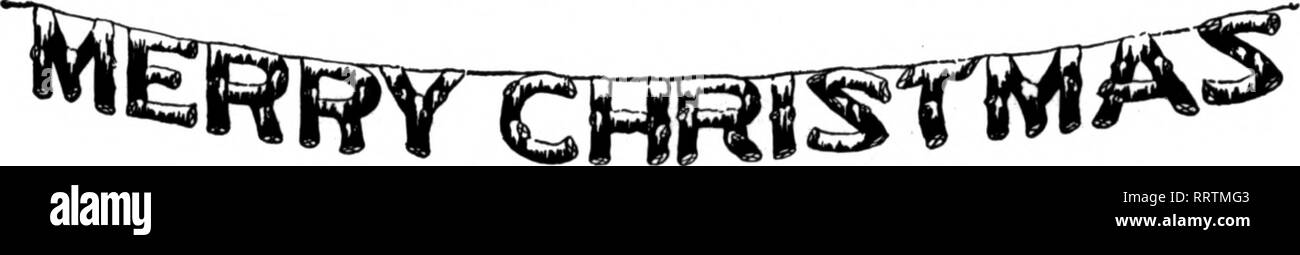 . Les fleuristes [microforme] examen. La floriculture. Couronne de chêne américain naturel préservé avec Polnsettia de velours. Écorce de bouleau (imitation JOYEUX NOËL BANNBR-12 pieds de long.) ^m % ^^^^M J H B f '^^^^ w Y Ik ? Vacances offre spéciale dès réception de $5.00 et le nom de votre revendeur, nous vous enverrons un échantillon de notre assortiment de conserves de feuillages, comprenant les éléments suivants : 5 lbs. de chêne américain de sprays. Et rouge Oreen 1 carton assorties d'arbustes de chêne américain, noyer américain 1 RDT couronne de chêne, avec Poinsettia 1 lb. Ruscus, rouge n° 1 Qualité 1 lb. Parc naturel préservé Lycopodium 1 lb. Fougères parisien 1 lb. Statice Banque D'Images