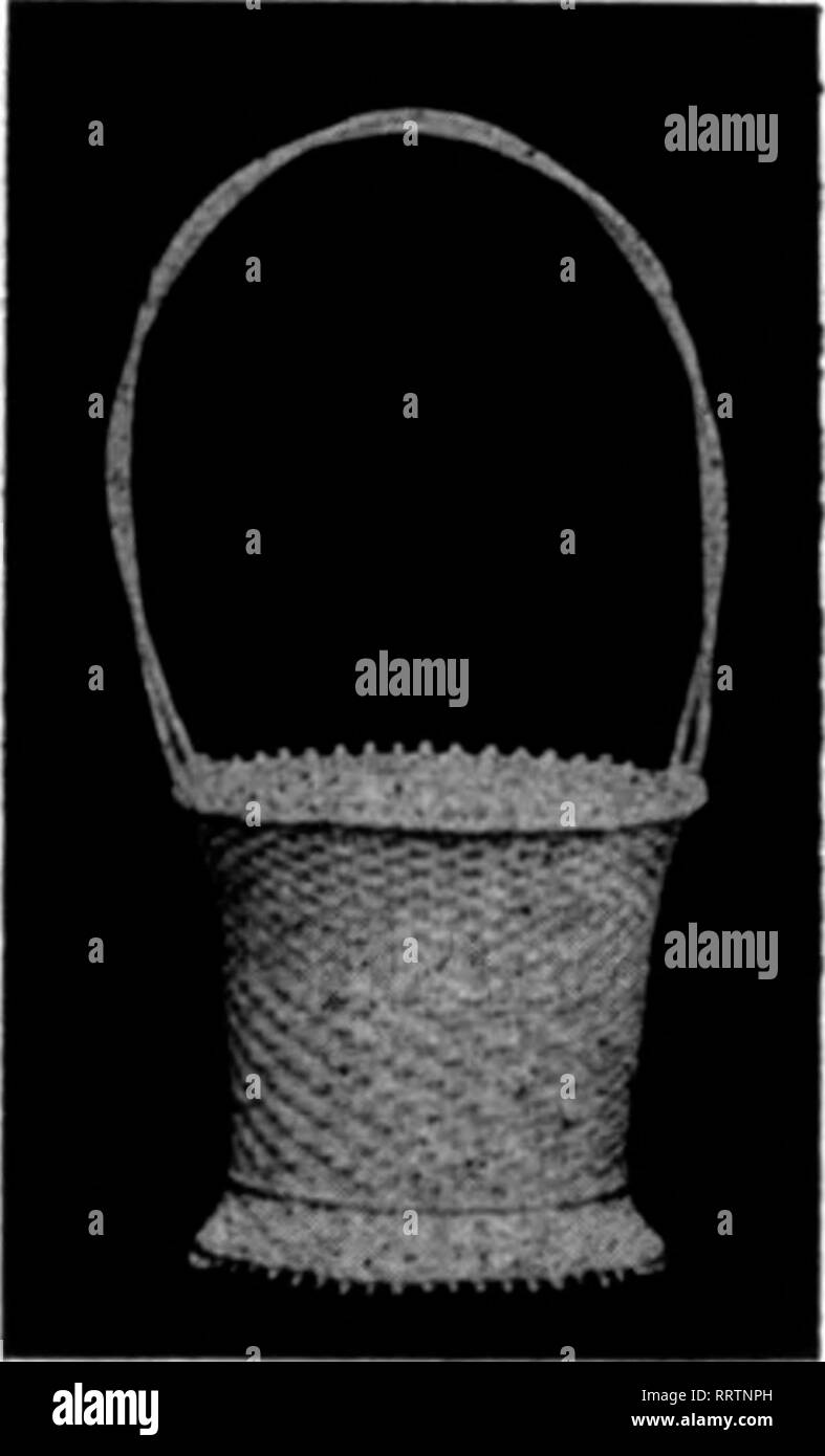. Les fleuristes [microforme] examen. La floriculture. N° 288 Deoth Largeur Hauteur 258-1 8^^ 2 X 6 X 22 -2 '." X 7 X 25 -3 10 X 7 X 28"un -4 11 X 8 X 30 -5 11^ X 9 X 32 N° 68S88 Boxoa Longueur Largeur Profondeur Fenêtre 65585-12 pouces taille 5 x e^^ s x 16 -18 cm taille 5 x 6 x 2^J'.t | -24cm8ize 5 x 6^ x 25 -taille 30 pouces x 0,6 x 31 7^ J - 56 pouces;taille 6*2 x 8 x, 36. Veuillez noter que ces images sont extraites de la page numérisée des images qui peuvent avoir été retouchées numériquement pour plus de lisibilité - coloration et l'aspect de ces illustrations ne peut pas parfaitement ressembler à l'œuvre originale.. Chicago : les fleuristes Pub. Co Banque D'Images
