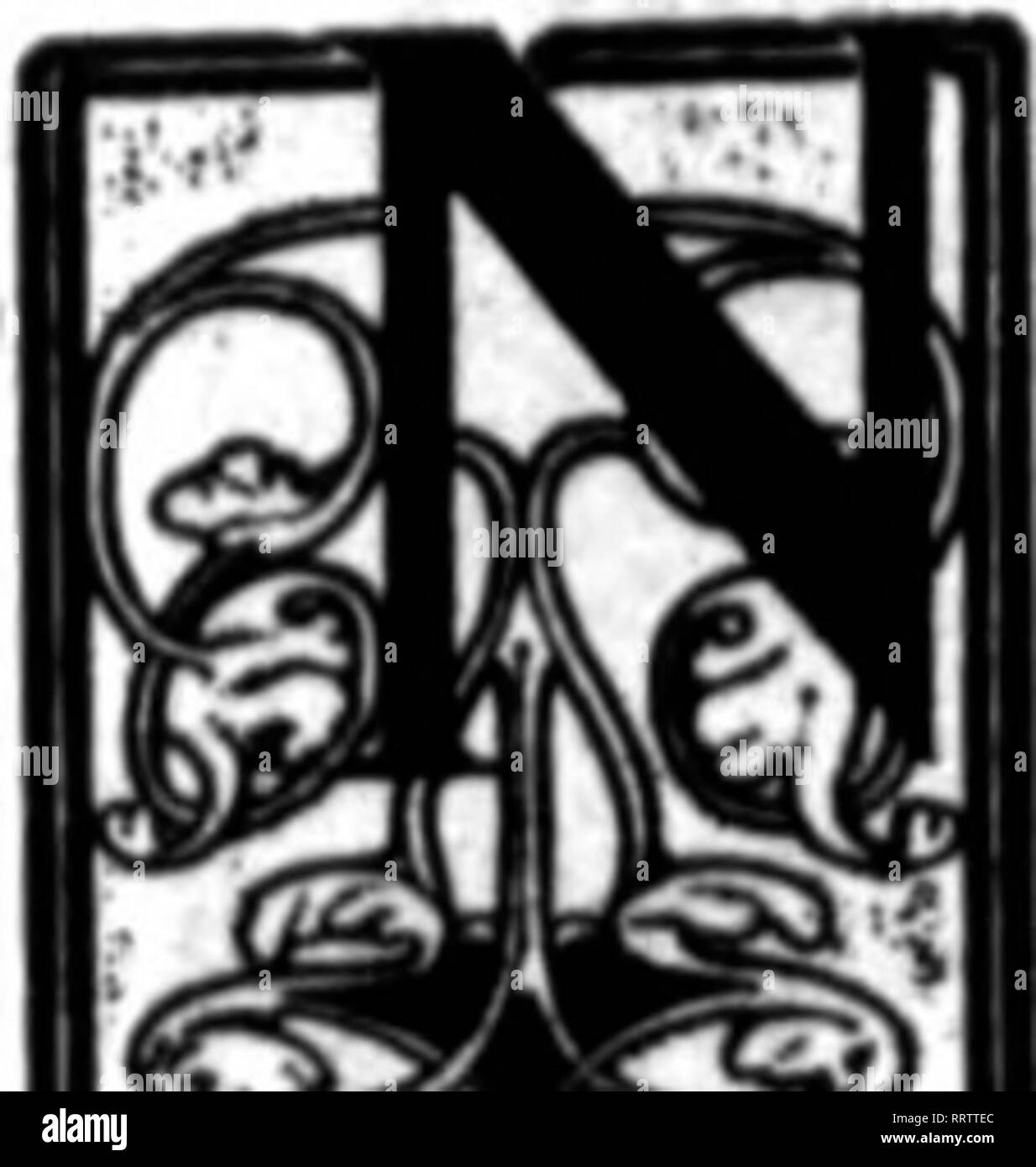 . Les fleuristes [microforme] examen. La floriculture. 12 novembre 1914 l'examen les fleuristes 43 NOUS SOMMES SIÈGE POUR ^^ &amp;MI7MS nos producteurs tdok plus de prix que tous les autres à la société showol le chrysanthème o ! Nord lOT seulement nous avons la grande fantaisie mamans maintenant, mais il y a des * cultivés pour le Thanksgiving qui seront d'une qualité primée Nous avons pour but d'être en mesure de fournir le blanc et le Jaune et Blanc Eaton ..^ et Jaune Chadwick, les grands boursiers, en quantité. Commandez maintenant et vous 11 être sûr. Nos prix sont toujours raisonnables.. Bouquet de chrysanthèmes POMPON ET DAISY TOUS LES CO Banque D'Images