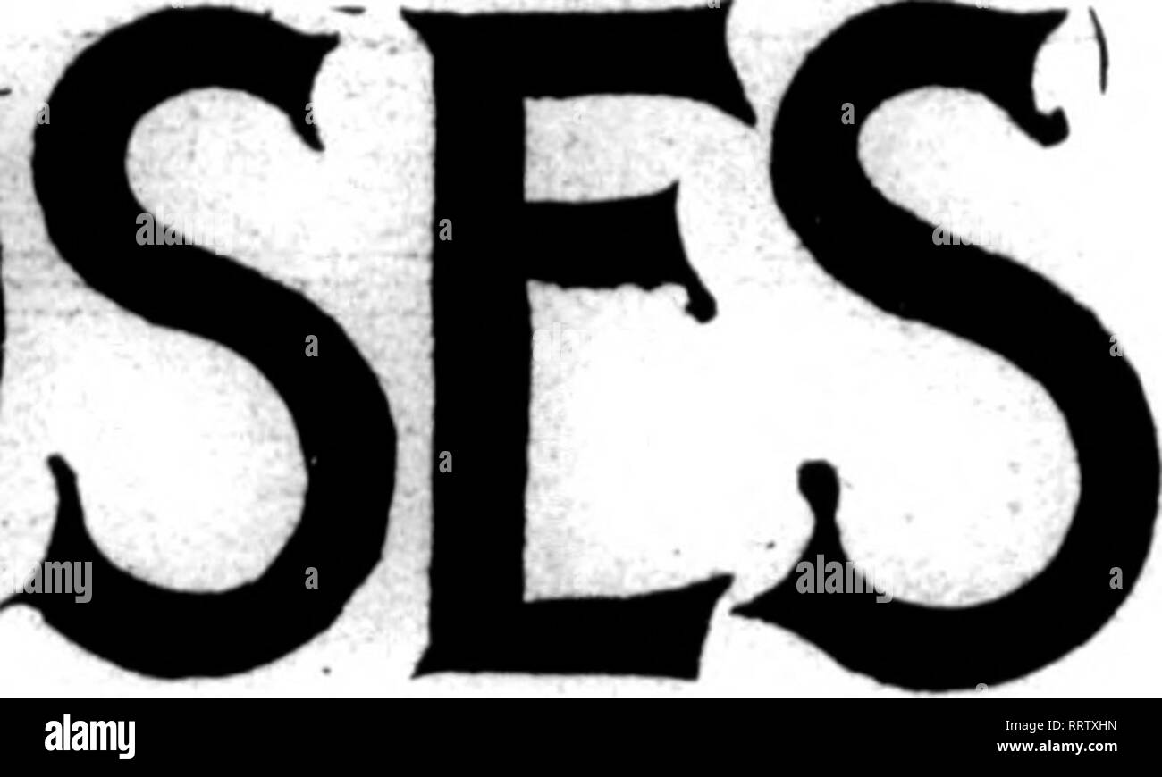 . Les fleuristes [microforme] examen. La floriculture. BOSES DE PLEIN AIR DANS LE SUD. Les enquêtes récemment ap- peared dans l'examen, au cours de la signa- ture de H. A. C : "Je veux planter 100 roses pour les fleurs coupées au cours de l'été, ici au centre de l'Alabama. S'il vous plaît me dire quelle taille de plantes à acheter pour des résultats rapides ? Stock serait de 4 pots être assez grand f me donner les noms de quelques bons rouge, blanc, rose et jaune va- rieties. Quels types ferait mieux de notre sol, qui est une lourde argileuse ?" Comme je l'ai, comme H. A. C, suis situé dans le centre de New York, mon expérience peut poss Banque D'Images