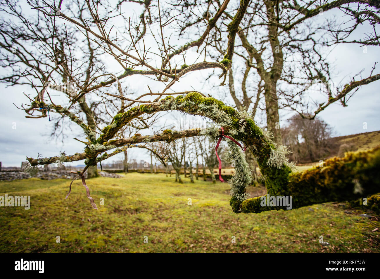 Kilmartin Glen, Temple Wood Stone Circle Banque D'Images