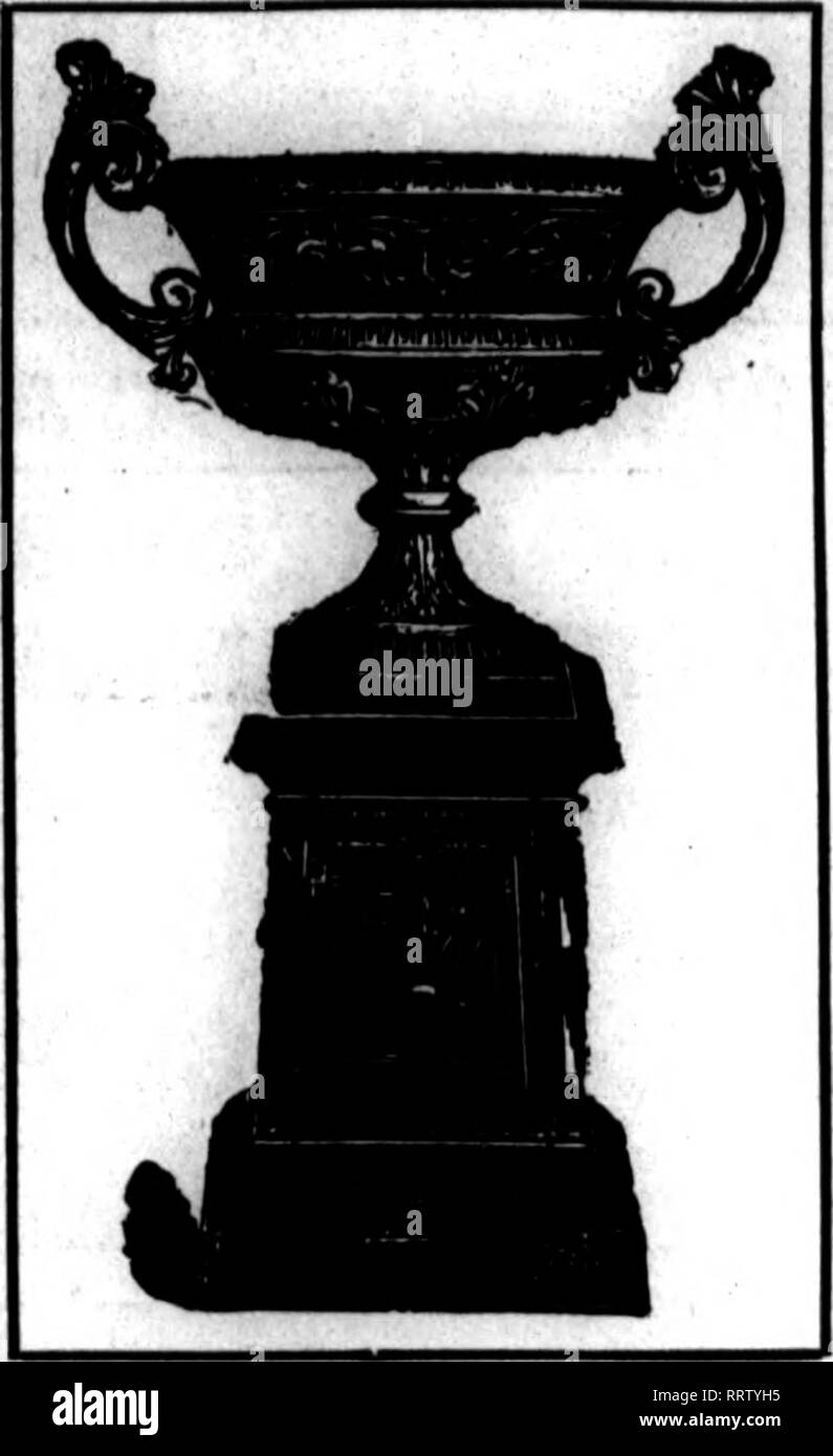 . Les fleuristes [microforme] examen. La floriculture. Oaaranteed nnder l'Insecticide, 1010 N° de série 821 Enregistrer votre usine* et d'arbres. Juste le thinsr pour les émissions et l'utilisation à l'extérieur. Mealy détruit Bus. Brown et WMte Thrip, échelle*. Araignée rouge. La Mouche noire et verte, mites, fourmis, etc., dommage pbmts withoat à et sans odeur. Utilisé pour accordinc accès notre Insecticide standard empêche ravaces sur votre croiw par les insectes. Poisonoas nannless et non à l'utilisateur et de l'usine. Leadiar les semenciers et les fleuristes ont utilisé avec une refults. Détruit les poux dans les poulaillers, les puces sur Docs et tous les Domesti Banque D'Images