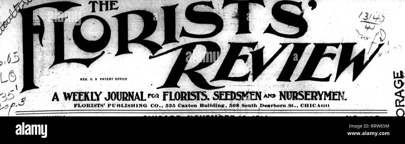 . Les fleuristes [microforme] examen. La floriculture. ^-j.-- ;. FL.ok1STS" PUHLI8H1NO CO., 535 Bulldina : Caxton. 508 South Dearborn St., CHIC.AUO VOL. XXXV. CHICAGO. Le 12 novembre 1914. No 885 "C'EST UN LONttp Long Way to Tipperary i" SHAMROCK VRAI DE SEMENCES DE L'IRLANDAIS OULD SOD I3 tr. pkt 0,2&gt ; Once 1,00 Tr. pkt ,. $0.40 je4lb....../... 3,00 Arthur T. Boddington,3f2'ri';ii ;"st, New York NOUS FAIRE UNE SPÉCIALITÉ DE LA PLANTES SUIVANTES : BEGONIA GLOIRE DE CINCINNATI- MELIOR BÉGONIA (nouveau) CYCLAMEN GIGANTEUM ADIANTUM FARLEYENSE PANDANUS VEITCHII OTAKSA fleld HYDRANGEA, cultivés, 1 crn.. 6c ; 2. d'ONR, 8c ; p Banque D'Images