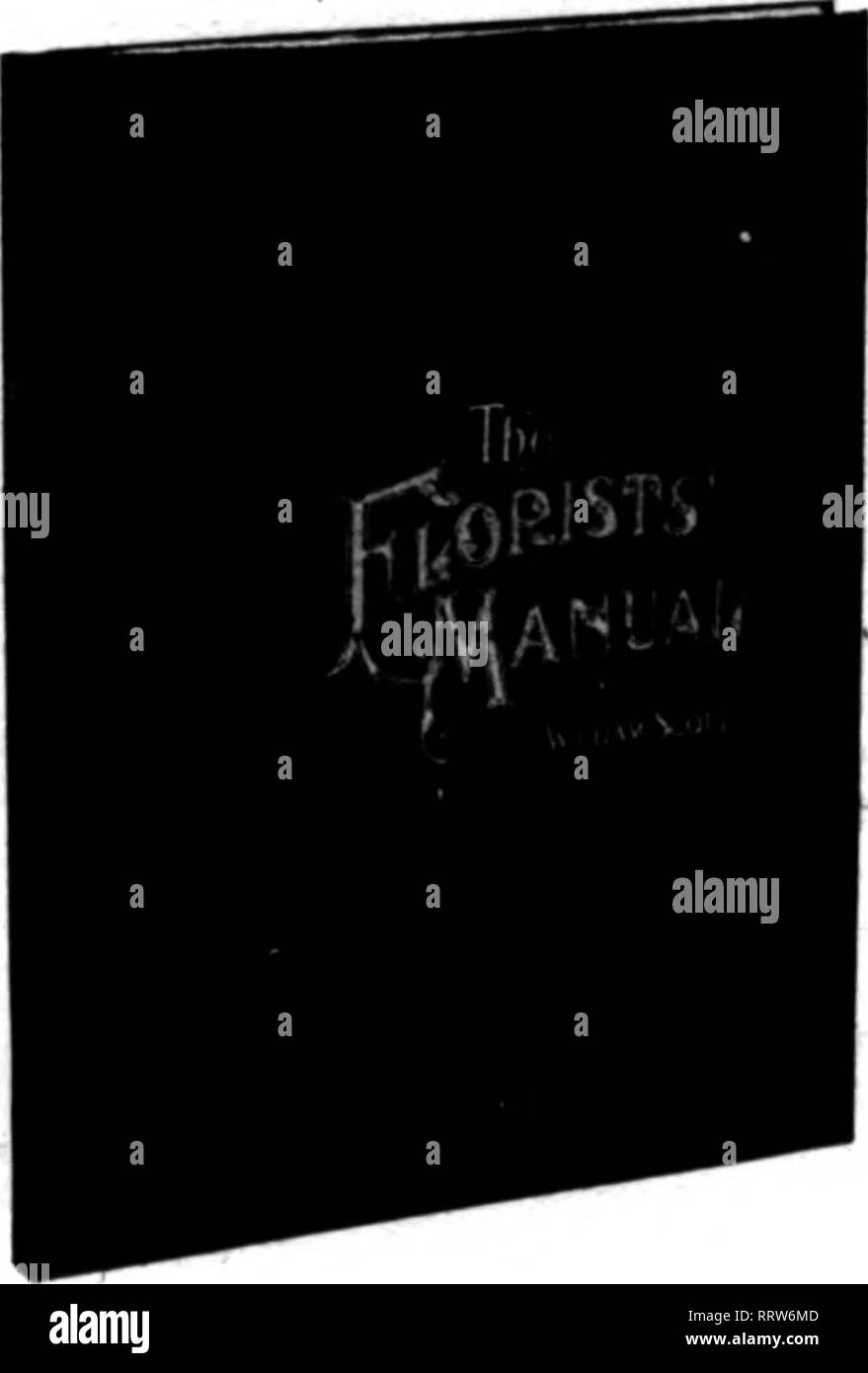 . Les fleuristes [microforme] examen. La floriculture. 21 mai, 1914. L'examen pour fleuristes 50 HELP WANTED-Man Pour Krower article rose ; bon. L'adresse, avec des références, n° 197, les fleuristes, Revue Clilcago. ANTED ACHETER-petite serre 100() à 4000 pieds de verre, après la première de juin. L'adresse n° 819. care Florists' examen. qUcngo. Voulait-Deuxième bande-Morebead piège, en bon état ; capable de prendre soin de 80 000 pieds de verre. L'adresse n° 198 soins, dorists' Review, Chicago. W.PARTENAIRE WTED-dans quelques années, je tiens à prendre leur retraite à partir de l'entreprise de semences, que ma santé est en baisse, et prendra en aujou Banque D'Images