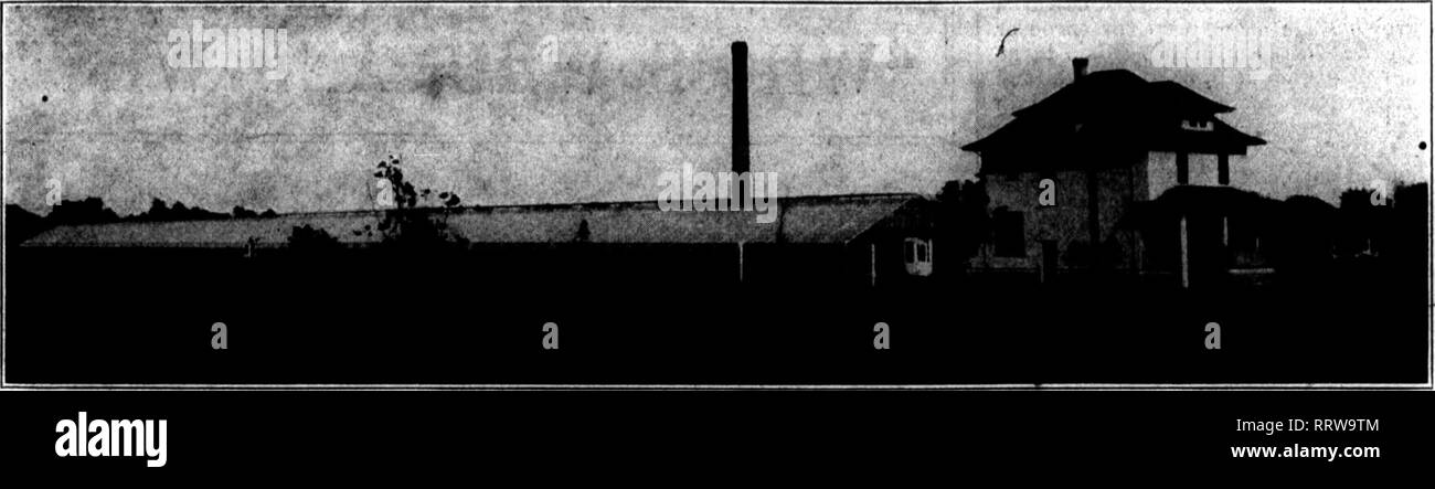 . Les fleuristes [microforme] examen. La floriculture. 12 La revue Septembeh pour fleuristes 11, 1013.. Vue sur le Raoge du J. W. Davis Gx, Davenport, la., montrant l'un des 600 pieds Housrs. Une serre. Aide mécanique pour le producteur. Si vous n'avez pas vu la légende de l'illustration en bas de la page, vous pourriez le prendre pour la centrale électrique d'une rue de fer. Ou, peut-être, on croirait que c'est la ville de l'eau. Mais il n'est ni ; c'est la chaufferie et bâtiment de service d'un fleuriste, le J. W. Davis Co., près de port- Daven, la. Elle sert à montrer comment grand un emploi c'est à p Banque D'Images