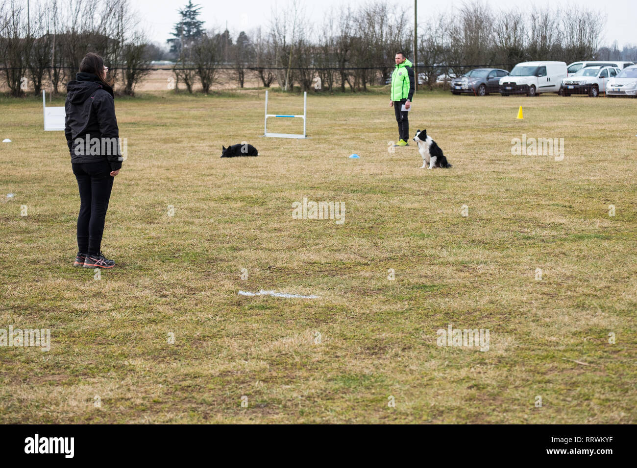 ALBAIRATE (MI), ITALIE - 23 février 2019 : un entraîneur de chien effectue un exercice avec le border collie pendant un test d'obéissance à Albairate (près de Milan) sur Banque D'Images