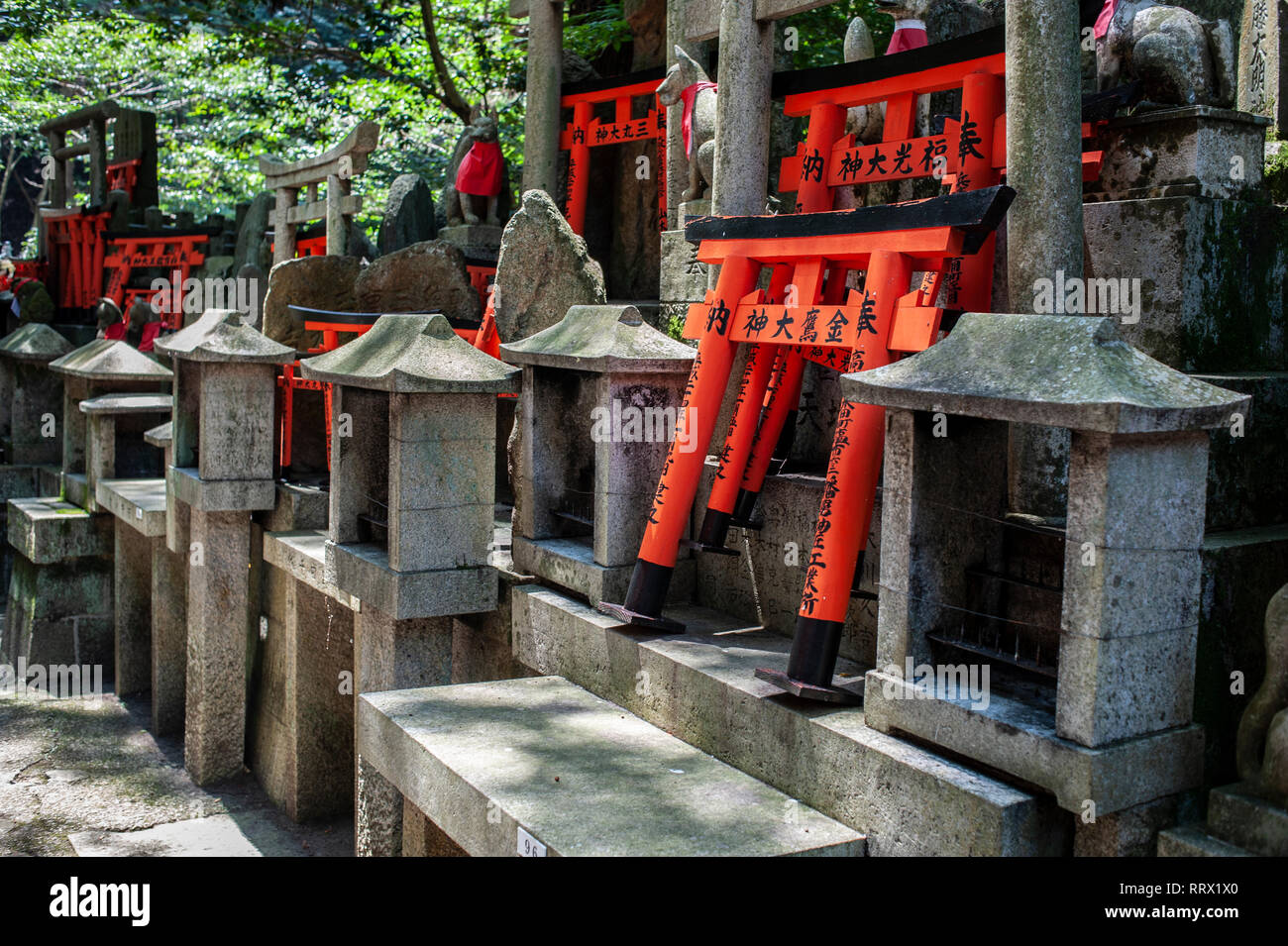 Fushimi Inari Taisha, Fushimi-ku, Kyoto, Japon. Banque D'Images