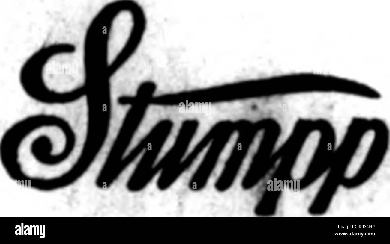 . Les fleuristes [microforme] examen. La floriculture. 50 Barclay Street, NEW YORK, Hibiscus, forte de 4 pots, 5. variétés, 8,00 $ par 100. Les violettes, princesse de Galles, sta-ong, 2i2-en. pots, 3,00 $ par 100. SwainsoiM, blanc et rouge, 3,00 $ par 100 ; Marguerite, la Reine Alexandra, 3,00 $ par 100. Plumbago Capensis Alba, 4,00 $ par 100. Piumosus Asperges, fort, 2"4-en.. 3,00 $ par ICO. Hortensia, Ramus pictus, 4,00 $ par 100. Le citron Ponderosa, 2ia-dans. les stocks, 3,00 $ par 100. Tuberoses, grande taille, 9,00 $ par 100. Les œillets, huit grandes variétés, 3,00 $ par 100. m. McGregor BROS. SpriagEeld Ohit, CO., CANN Banque D'Images