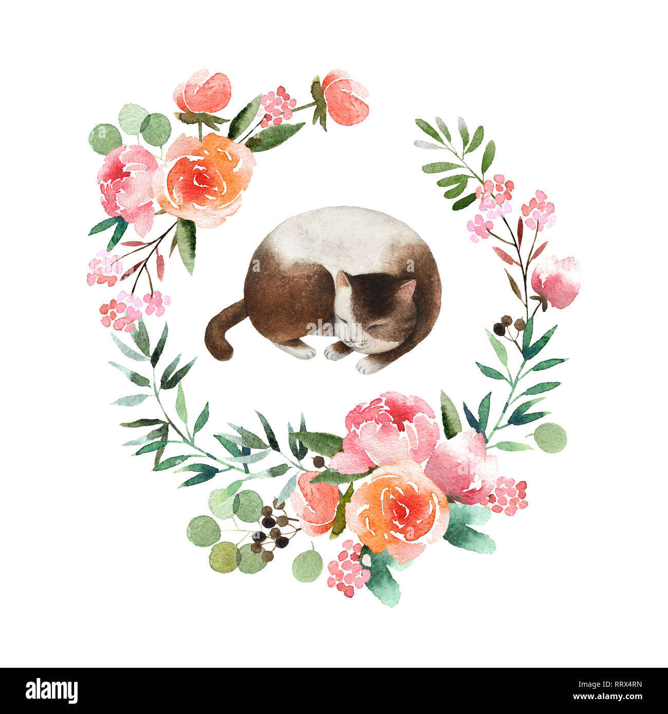 Belle aquarelle wreath with Cute cat isolé sur fond blanc. Couronne ronde à fleurs aquarelle pour la conception, des cartes postales, des bannières, des emblèmes, logo. Banque D'Images