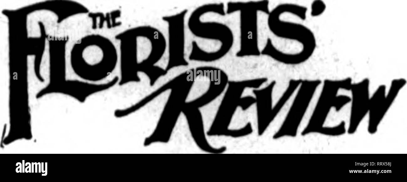 . Les fleuristes [microforme] examen. La floriculture. L'examen 102 Fleuristes 5 Juin, 1913. A. Abblngdon Flo. Co.. 59 Co 9 l'avance.S Albert &AMP ; Davidson.. '•)*&Gt ; Allen. J. K 61 Alpba Alvln Co Floral Floral 45 Co 34 soufflante américaine... 95 l'importation américaine. 35 American frayer Co. 48 Fenêtre américaine Glass Co 99- ware en bois américain Amllng 103 t Co 21 Anderson, S. A 46 Andorre forestières.. 62 Angermueller, G. H. 38 Aphine Mfg Co.. .90-91 Floral Archias Co... 44 Armacost &AMP ; Co 41 Arnold. 33 A. Un ABCbmann Ascbmann, G 77 65 Bros Atlanta Com'n Co.. Auburndale 60 Ooldfisb. 36 Augspurger &AMP ; Fils. 77 Banque D'Images